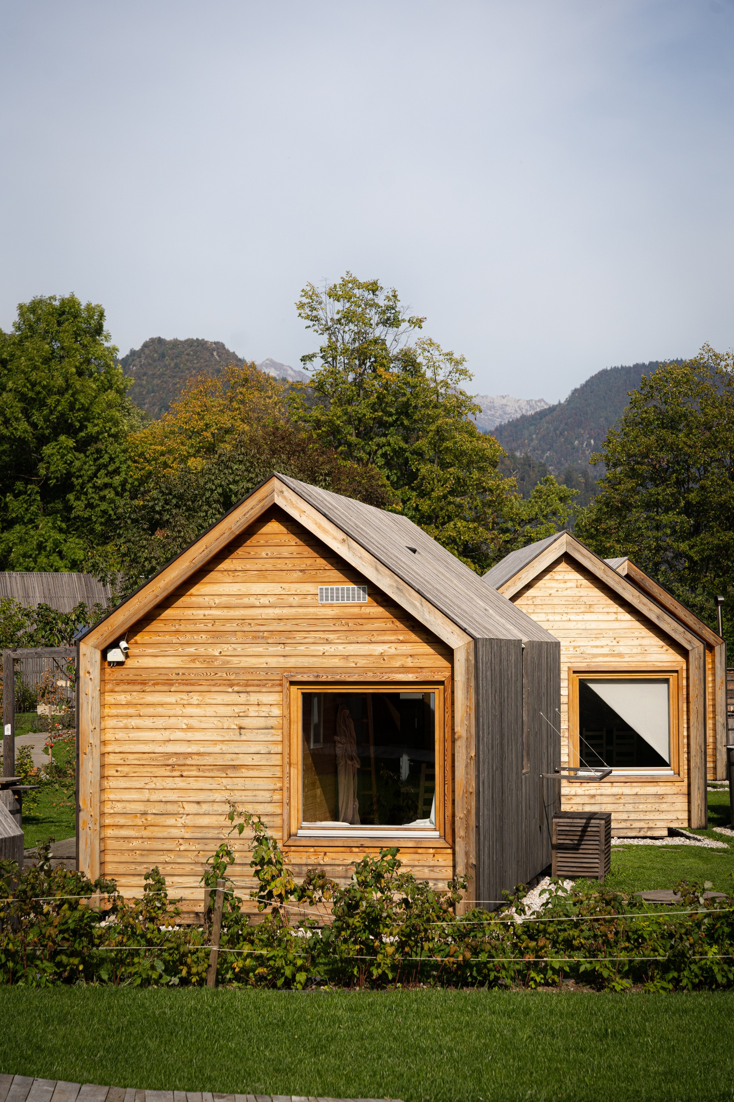 Airbnb. Patricia Morenci — Mountain Adventures for the Wild at Heart