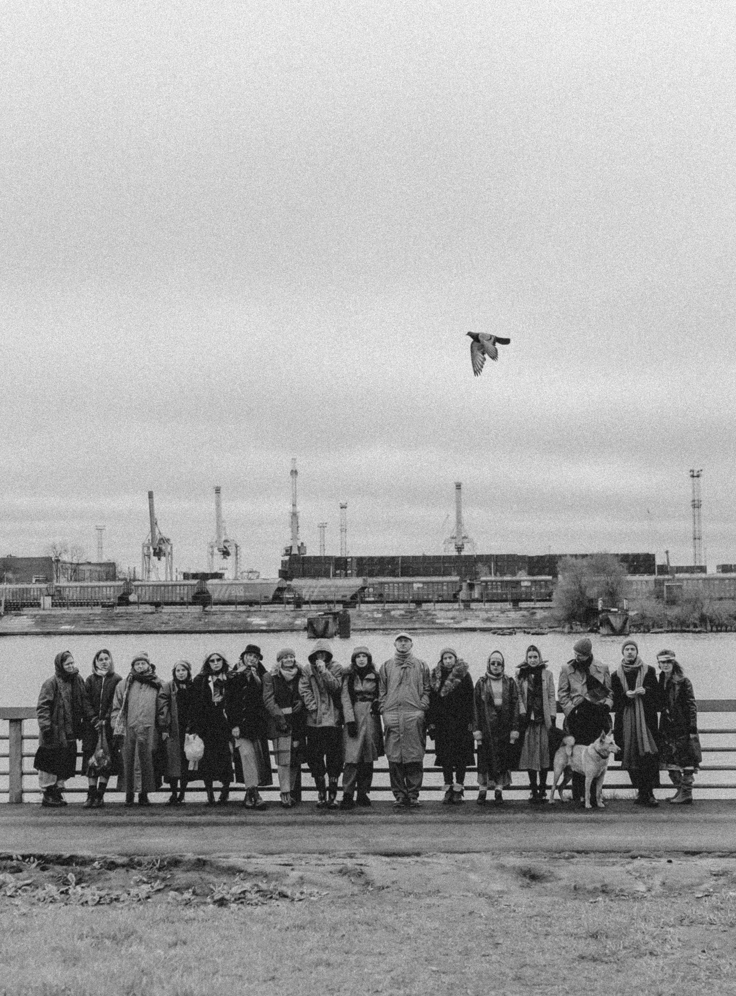 ВОПЛЬ ВПЕРЕДСМОТРЯЩЕГО. Стрит-фотография, полная абсурда, идиотизма и красоты