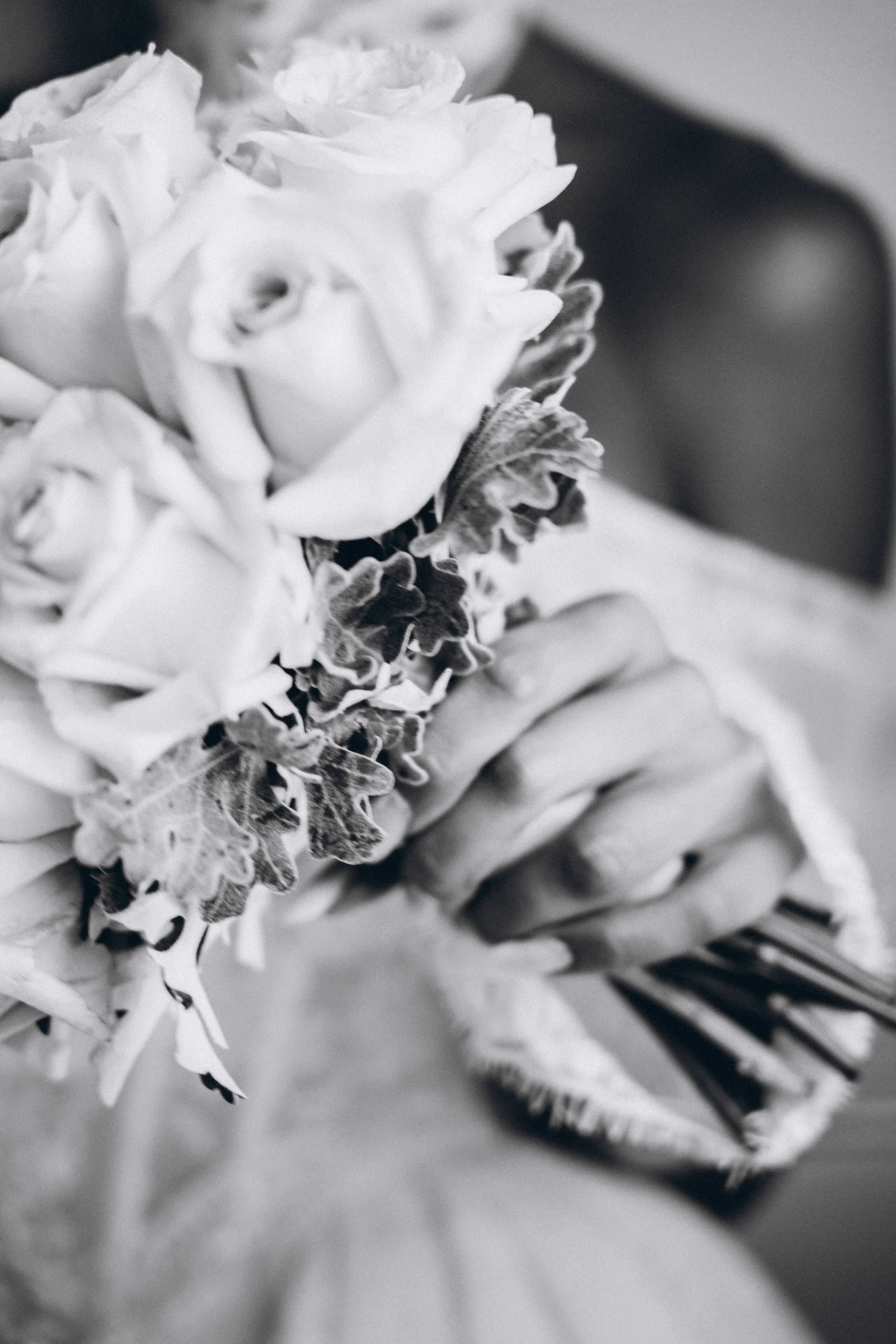 Matrimoni. Fotografo di matrimonio ed eventi ad ariano irpino