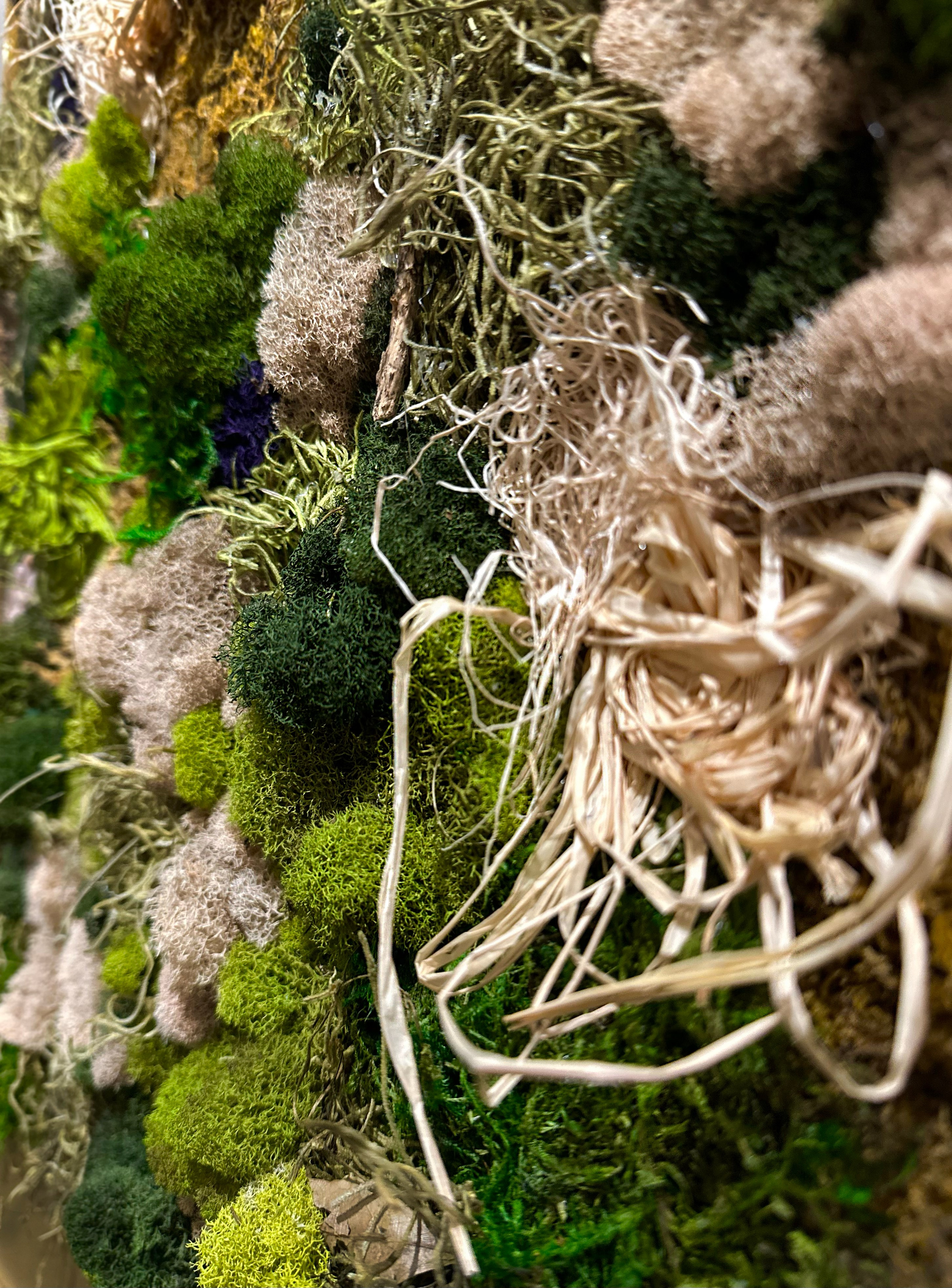 Anna & Moss magic, Content. Yana Bobrova | Artistic Photography