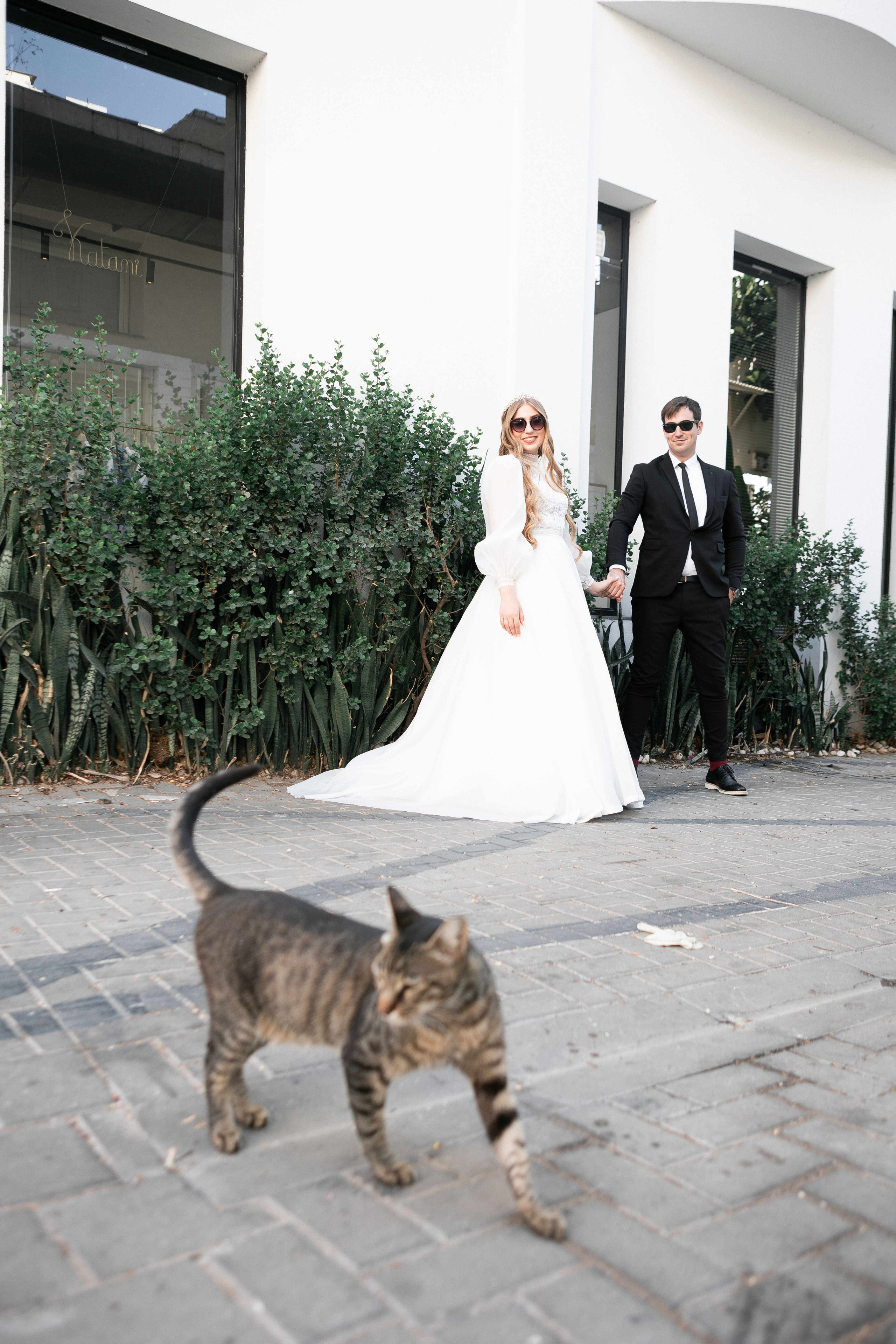 WEDDING IN A COZY PLACE NEAR TEL AVIV. PHOTOGRAPHER IN ISRAEL