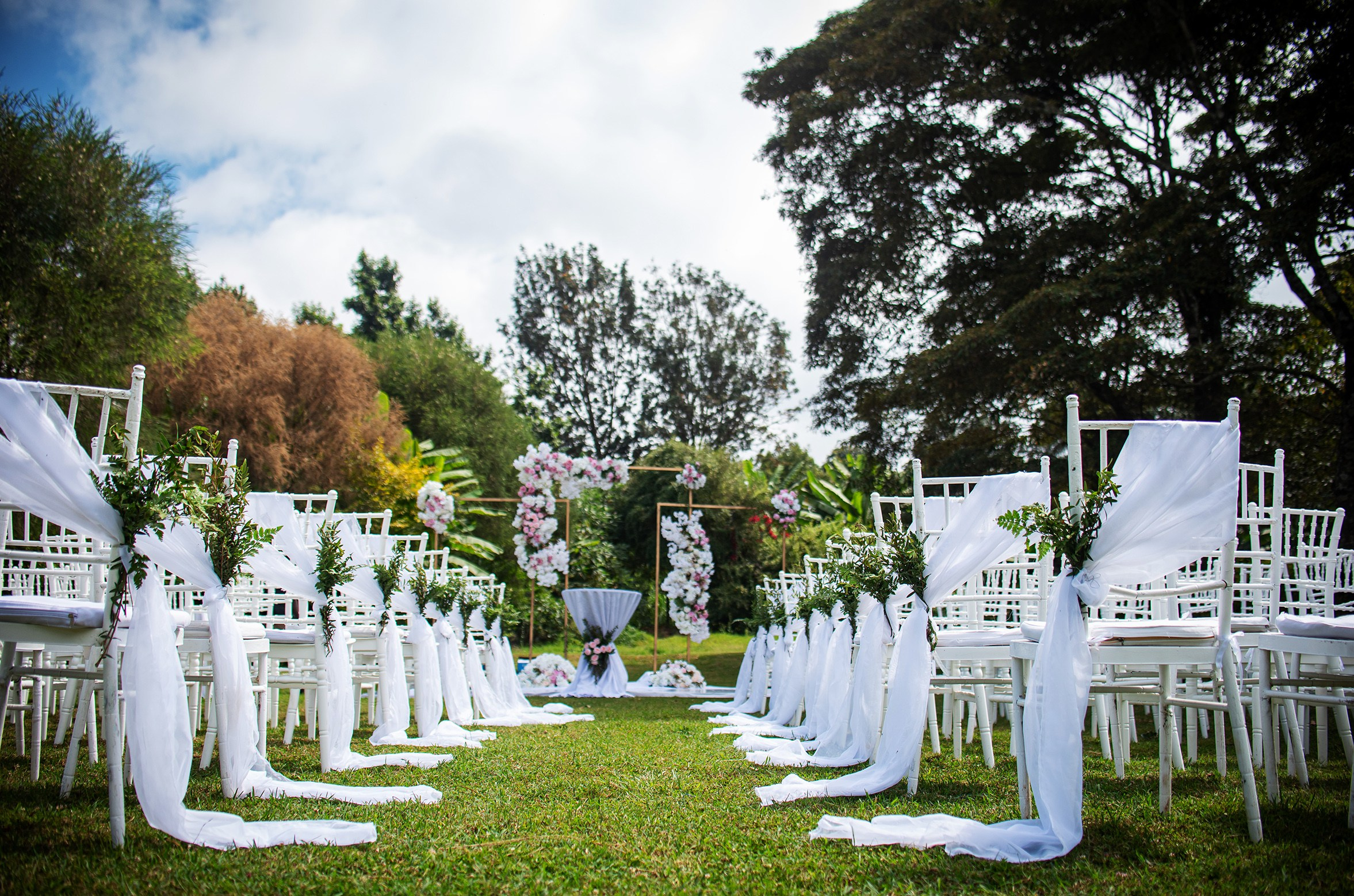 A lush green wedding aisle with white fabrics decorated on chivalry chairs