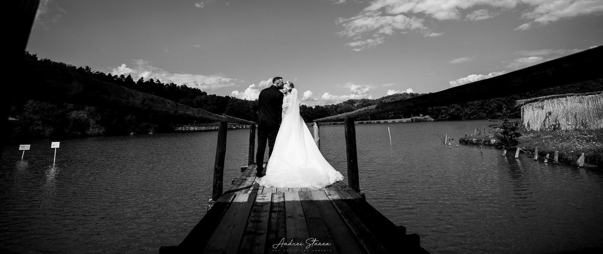 Portofolio. Andrei Stanea