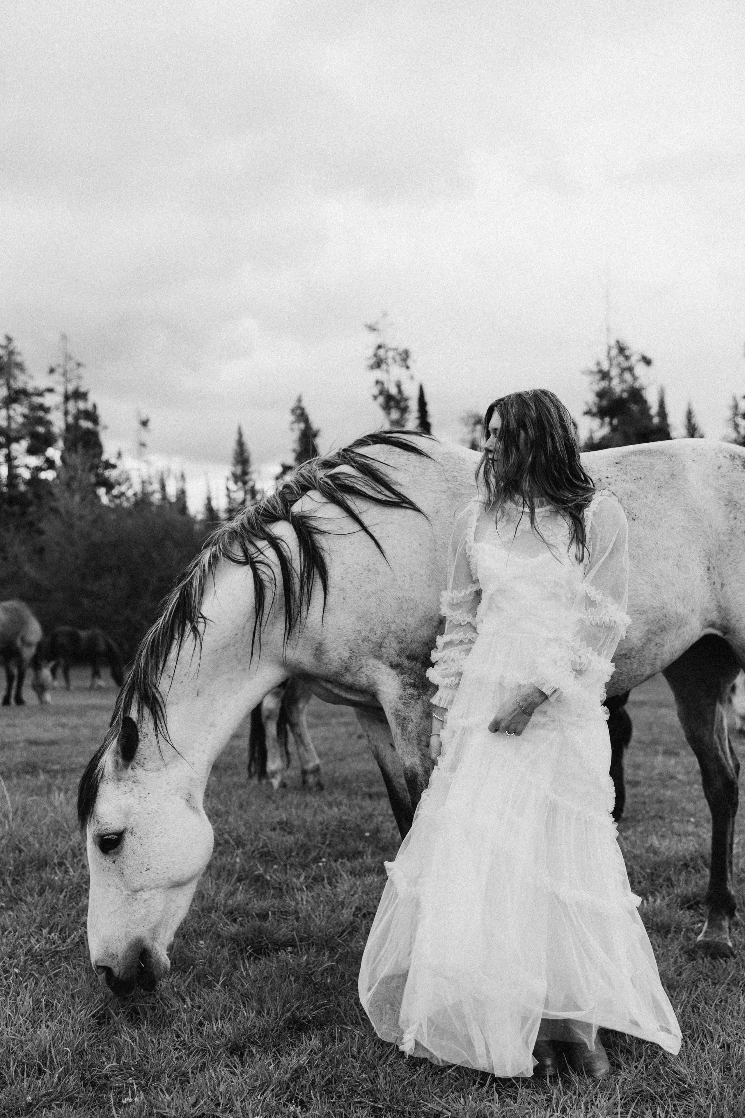 Christmas in Nashville