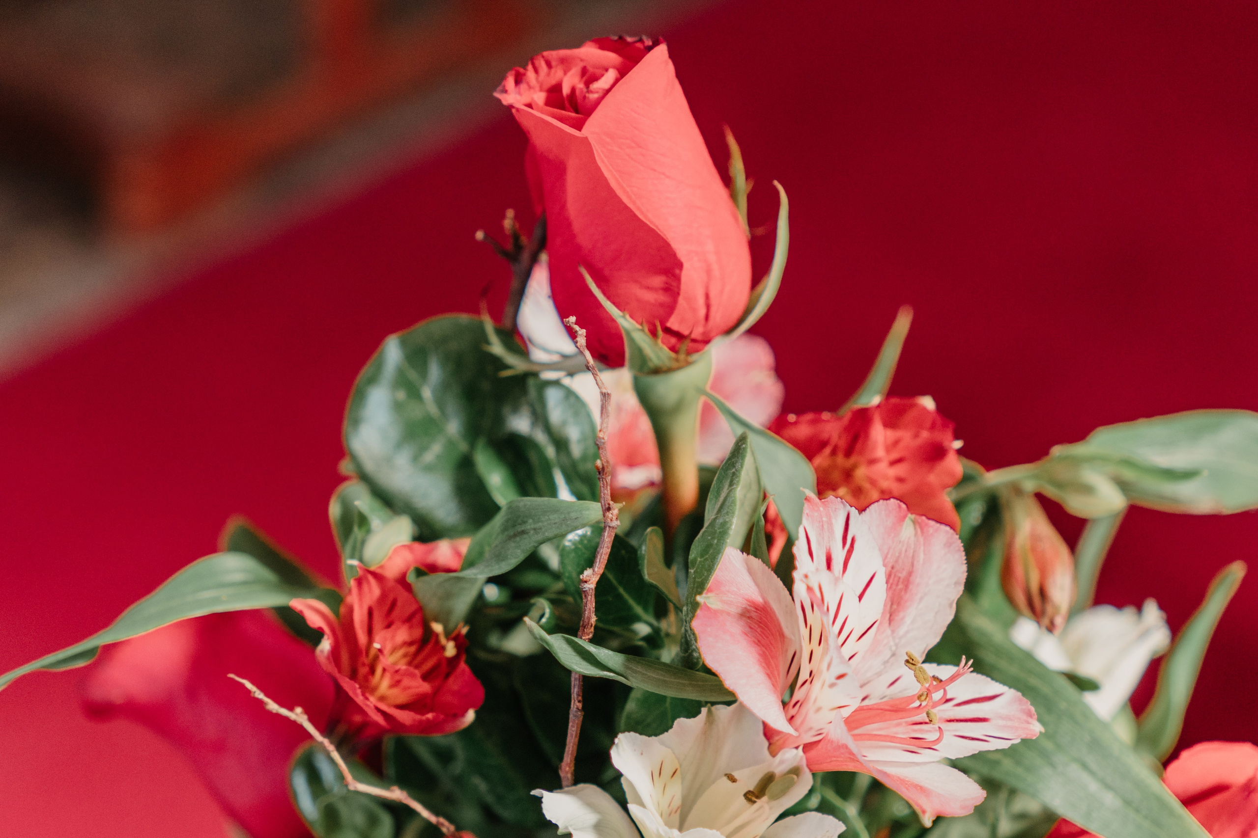 CAROL Y GERSON SOLO BODA. Studio KVTA | Fotografía y Video de Bodas en Arequipa