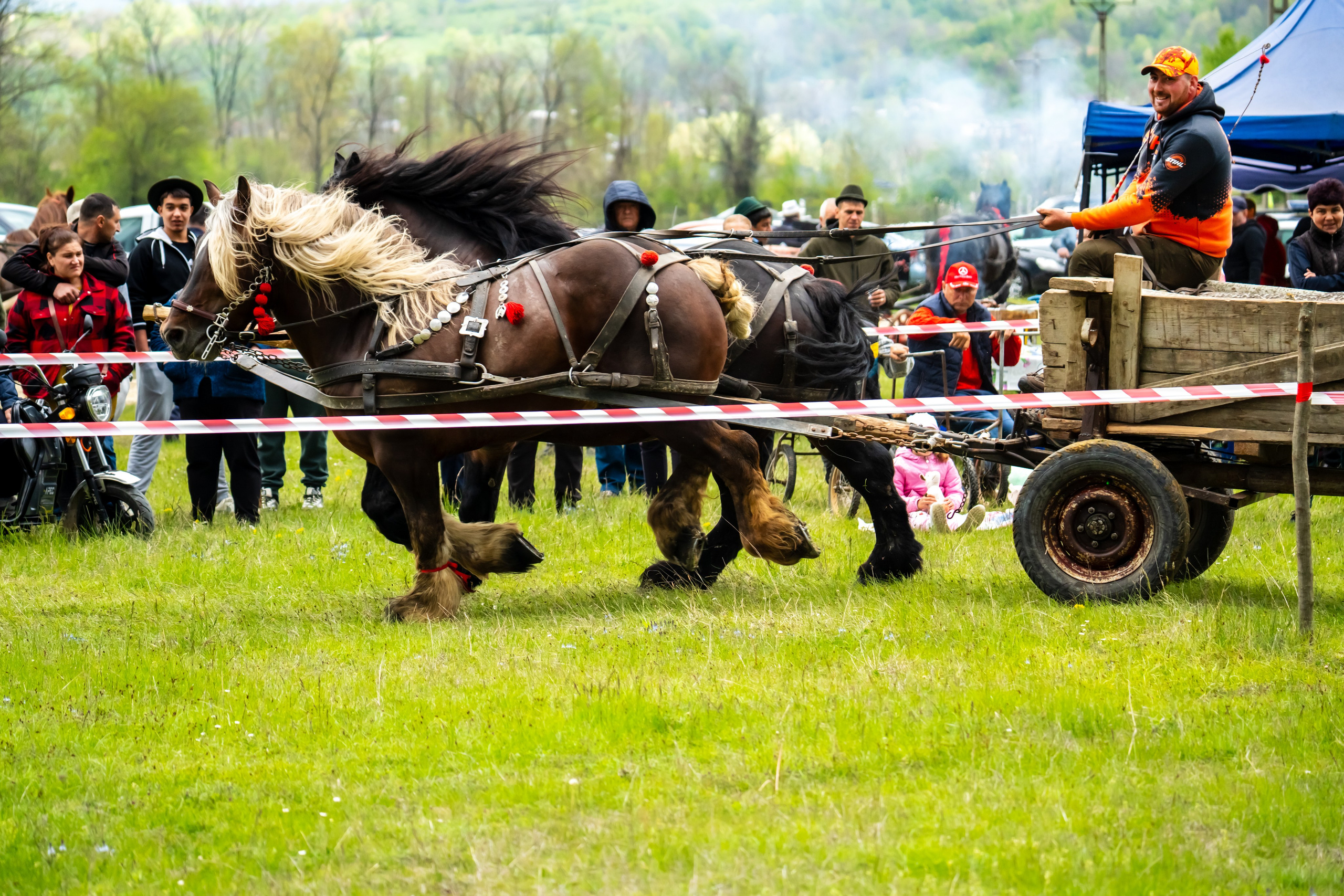Concurs Ecvestru Vărbilău ediția a 4-a. Mihai Alexandra Events