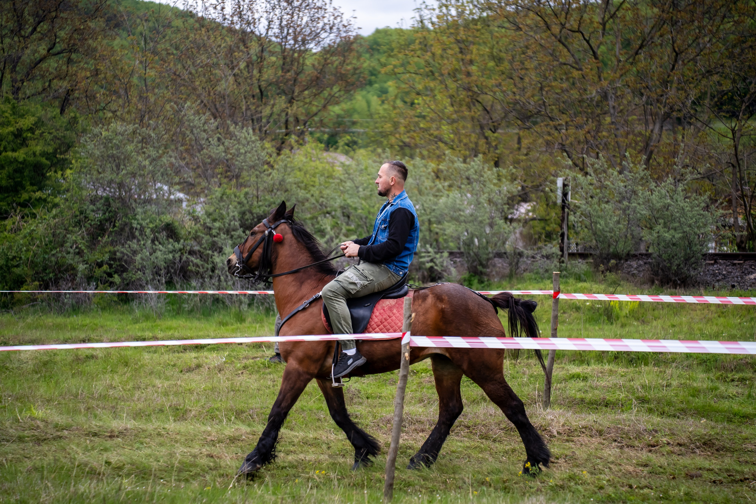 Concurs Ecvestru Vărbilău ediția a 4-a. Mihai Alexandra Events