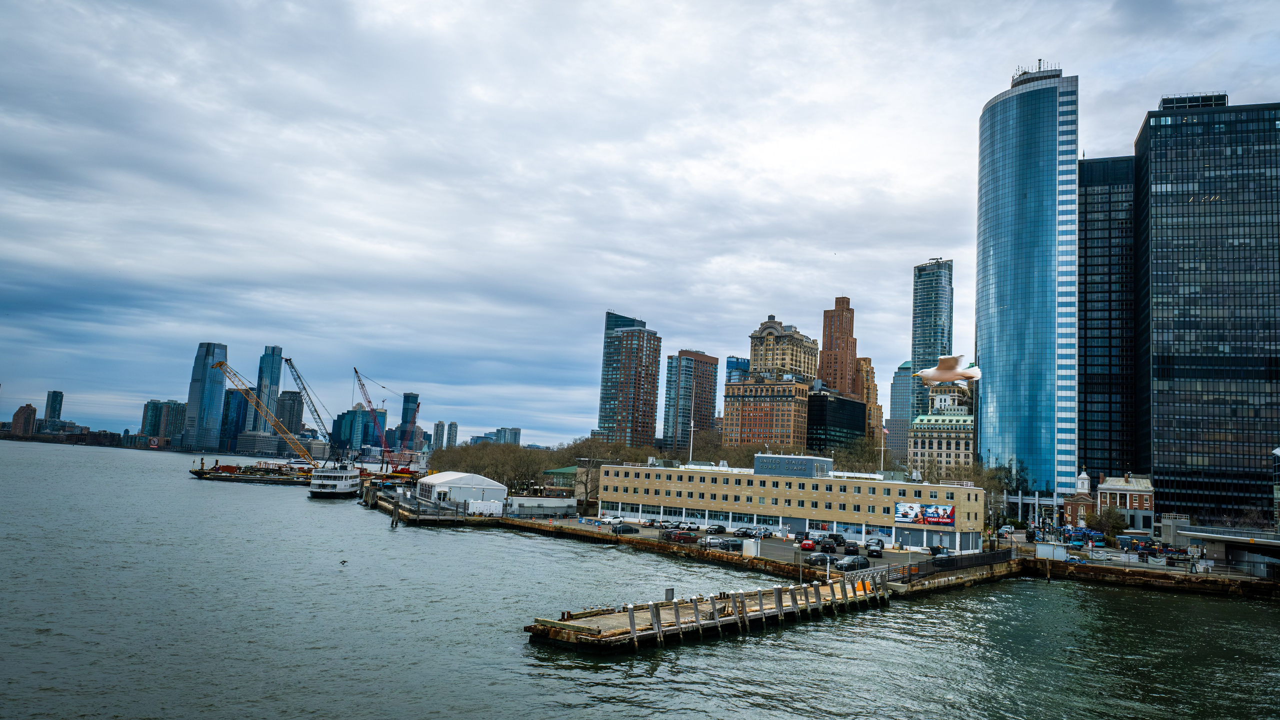NEW YORK / 2025. Reportage concert portrait photography in the San Francisco Bay Area