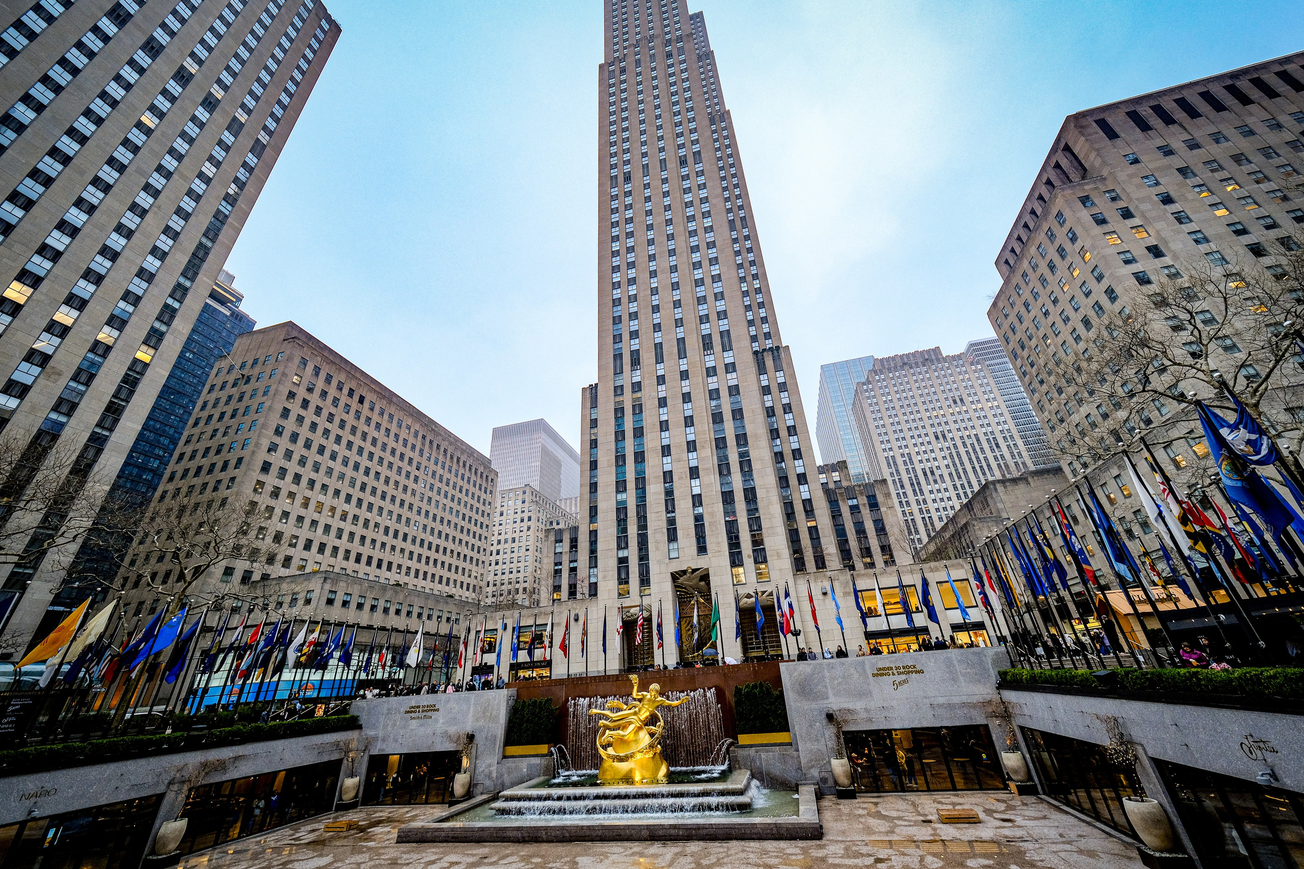 NEW YORK / 2025. Reportage concert portrait photography in the San Francisco Bay Area