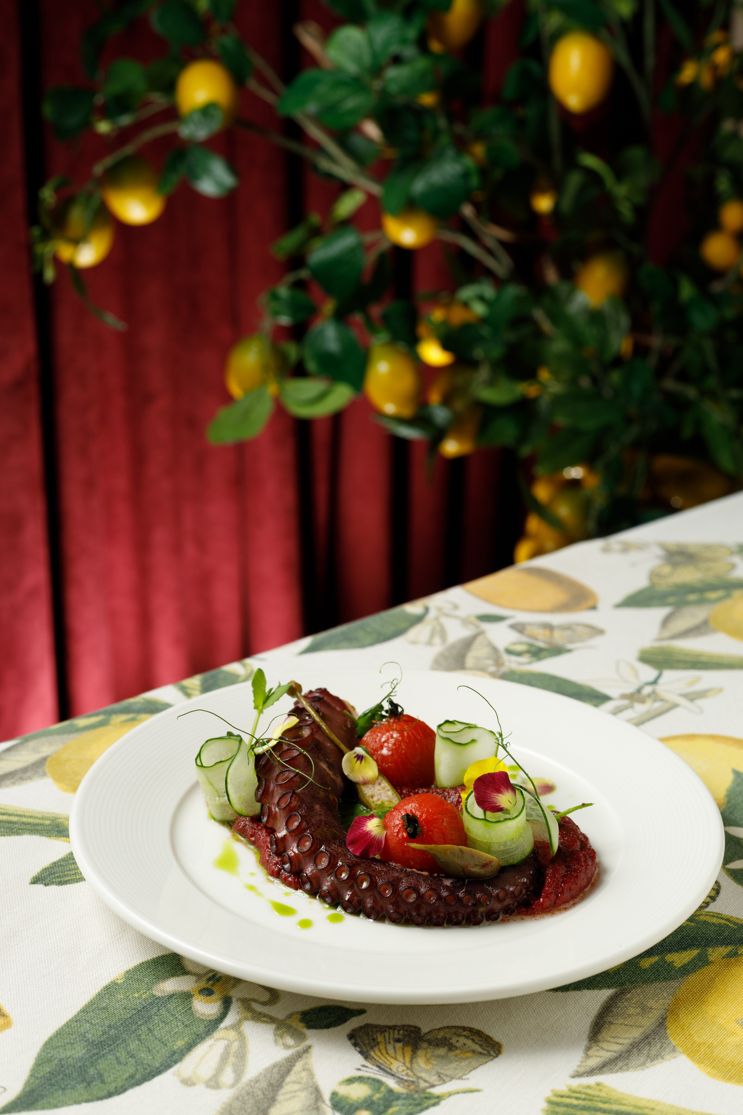 Ciao Bella. Captured by Hallovud