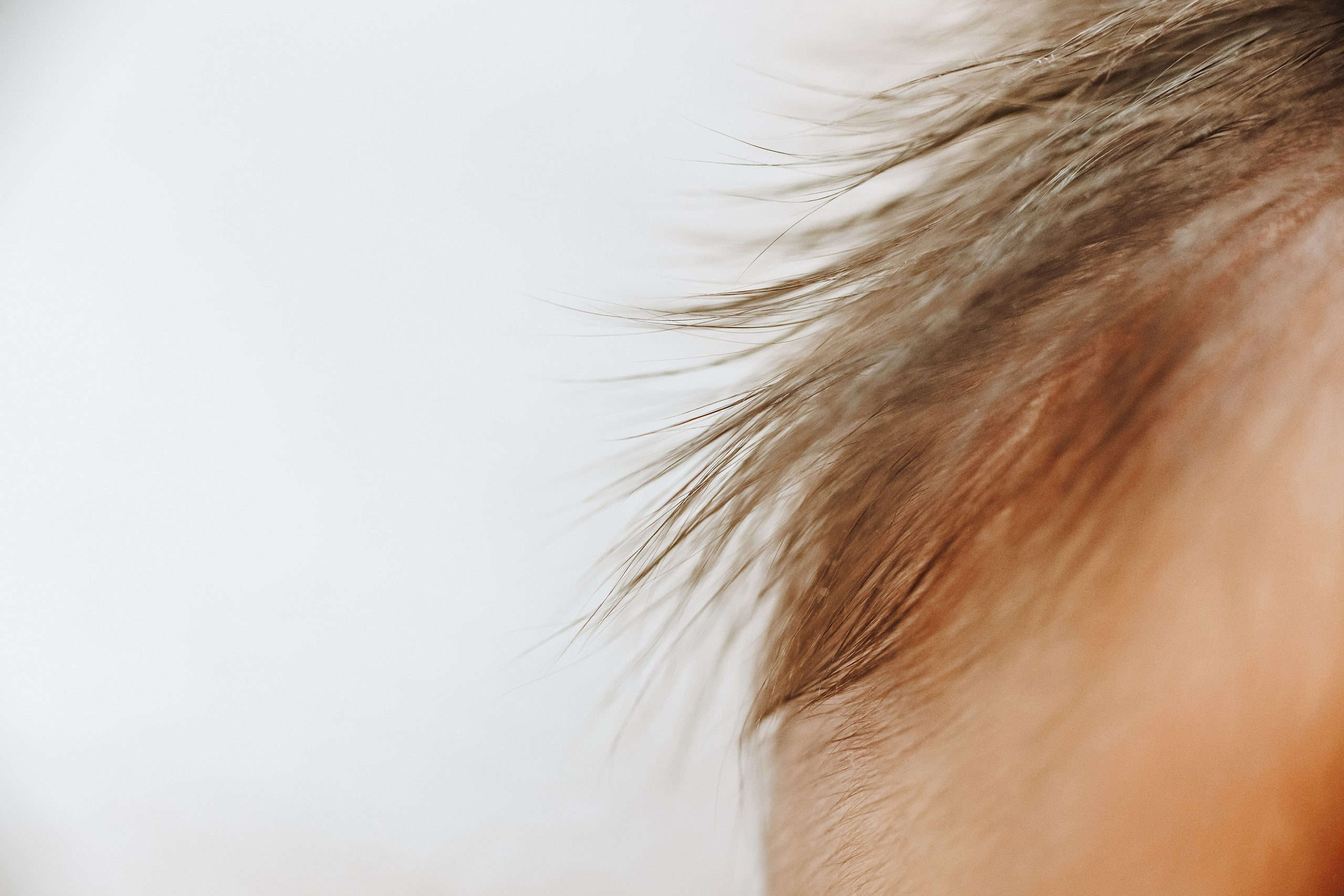 Baby Girl. Фотограф Ирина Йотова