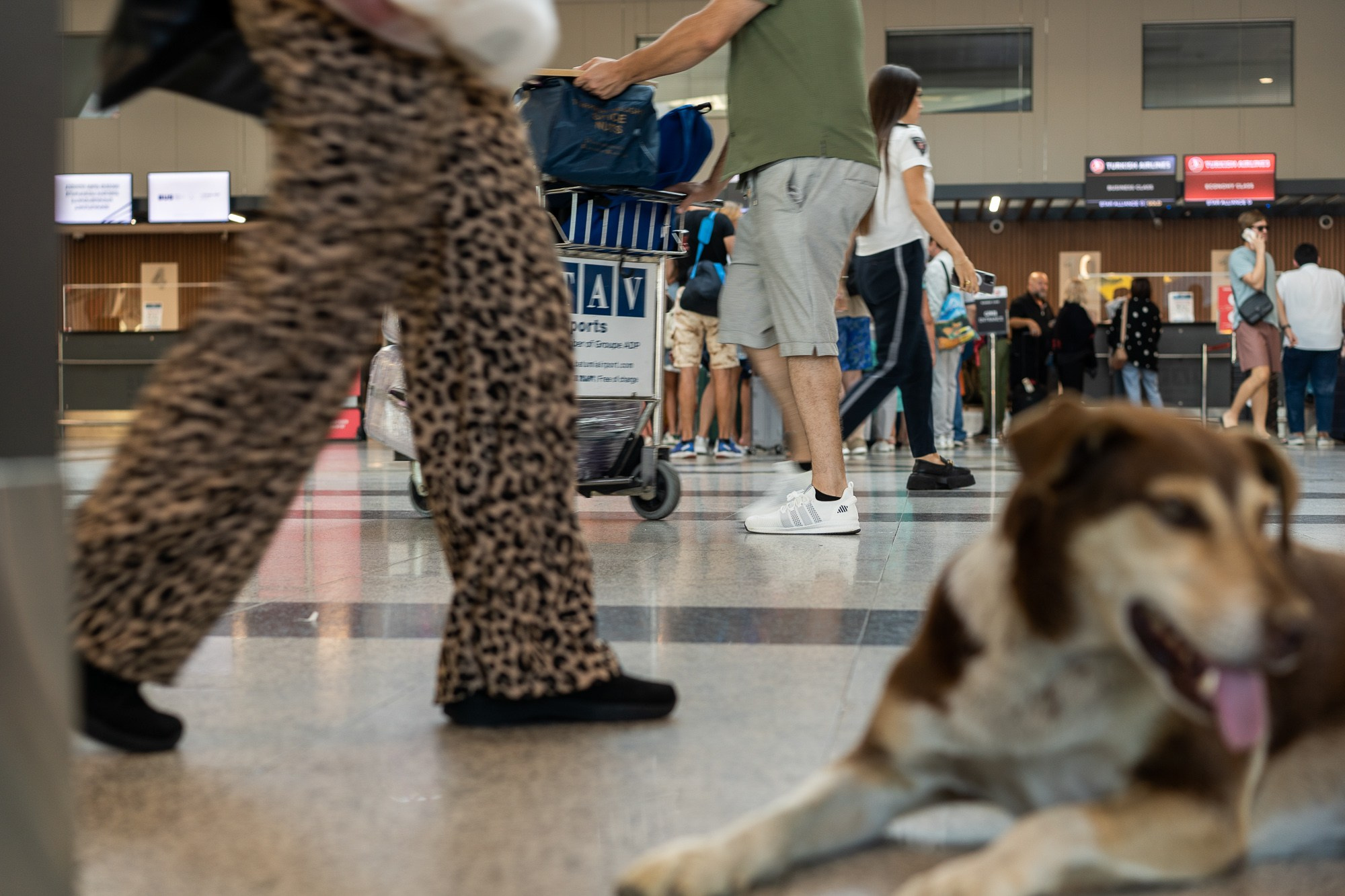 Dreams of Icarus. Stanislava Novgorodtseva — Photographer | Visual Artist | Educator