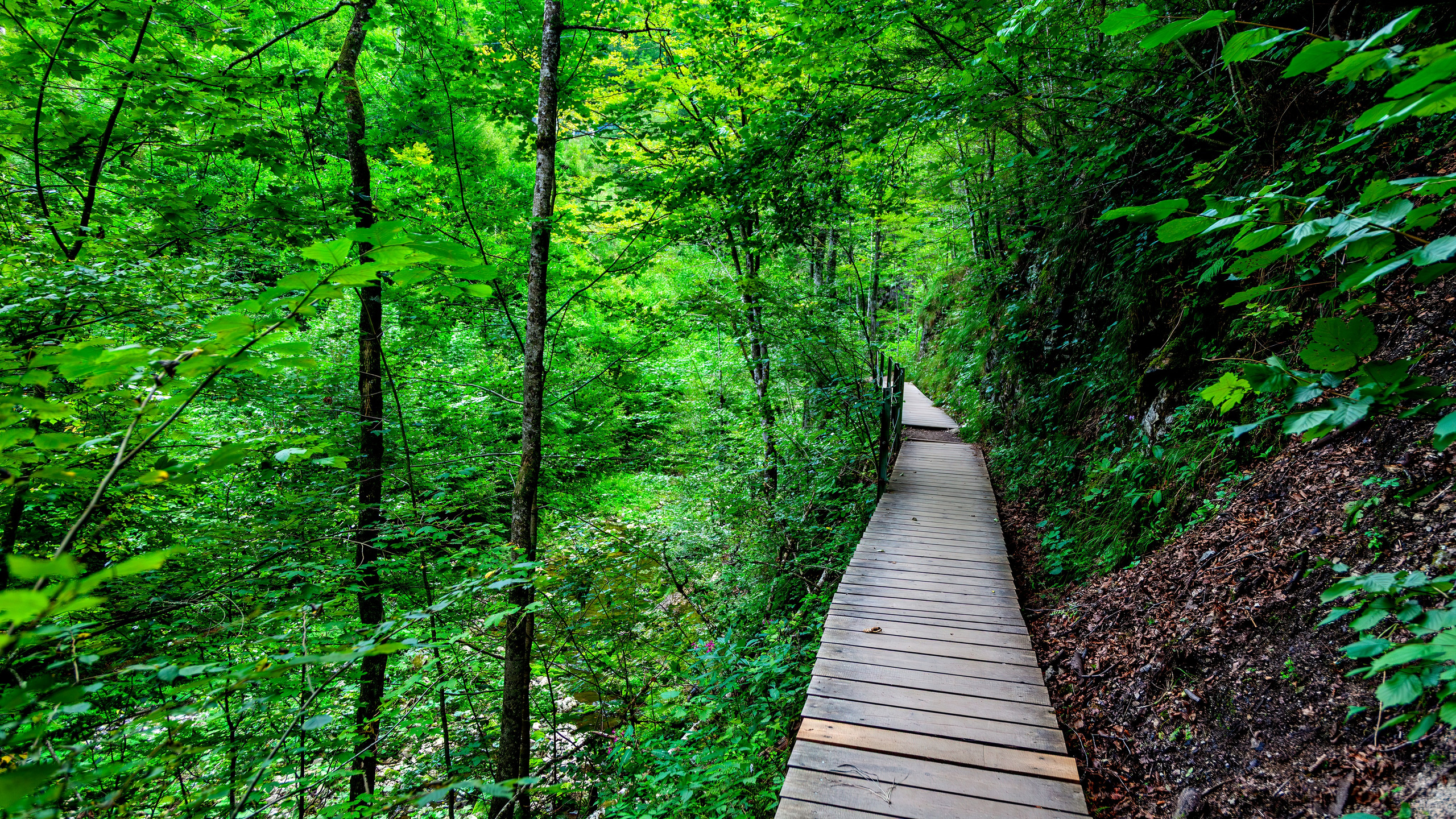 197.Ötscher Base Nature Park.Austria.21.8.2025. Путешествия в формате 360......