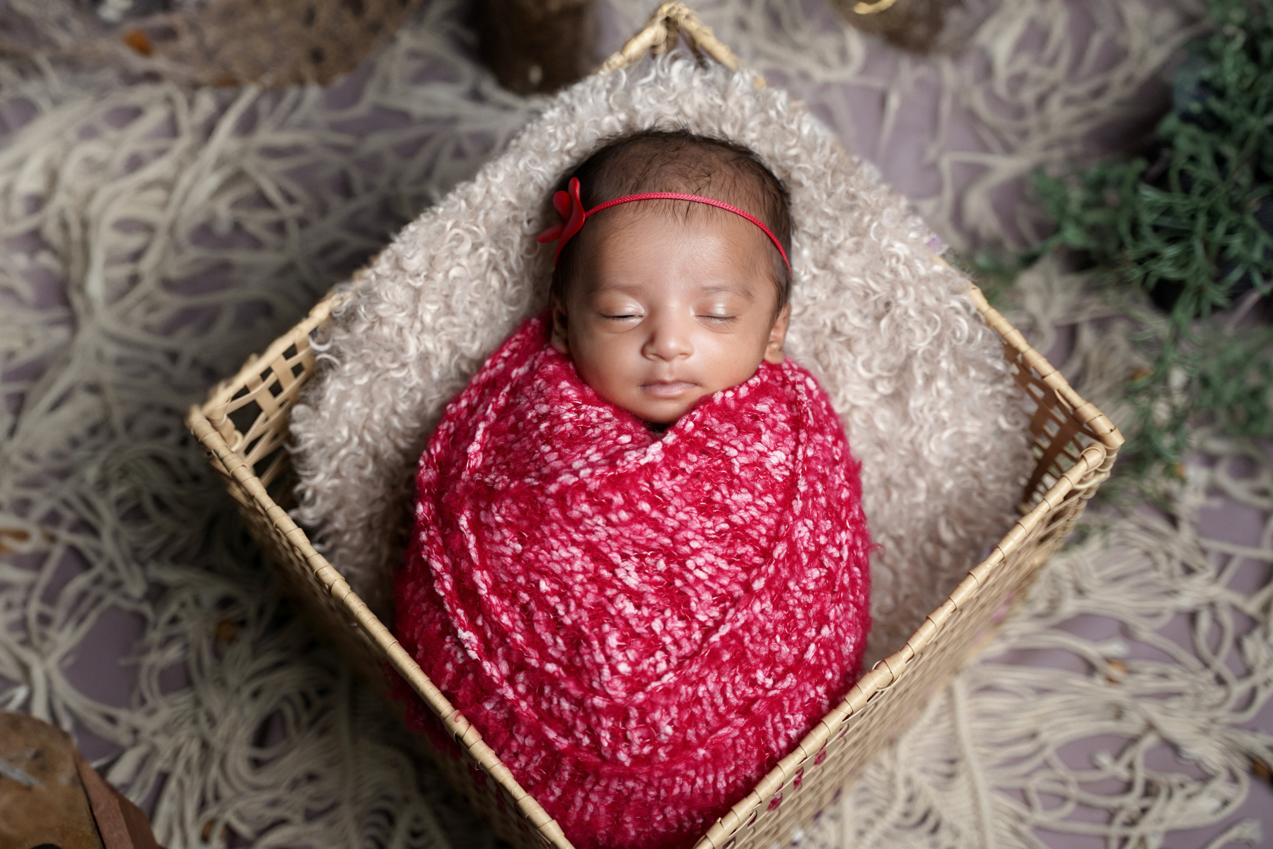 New born. TNF photo & filming