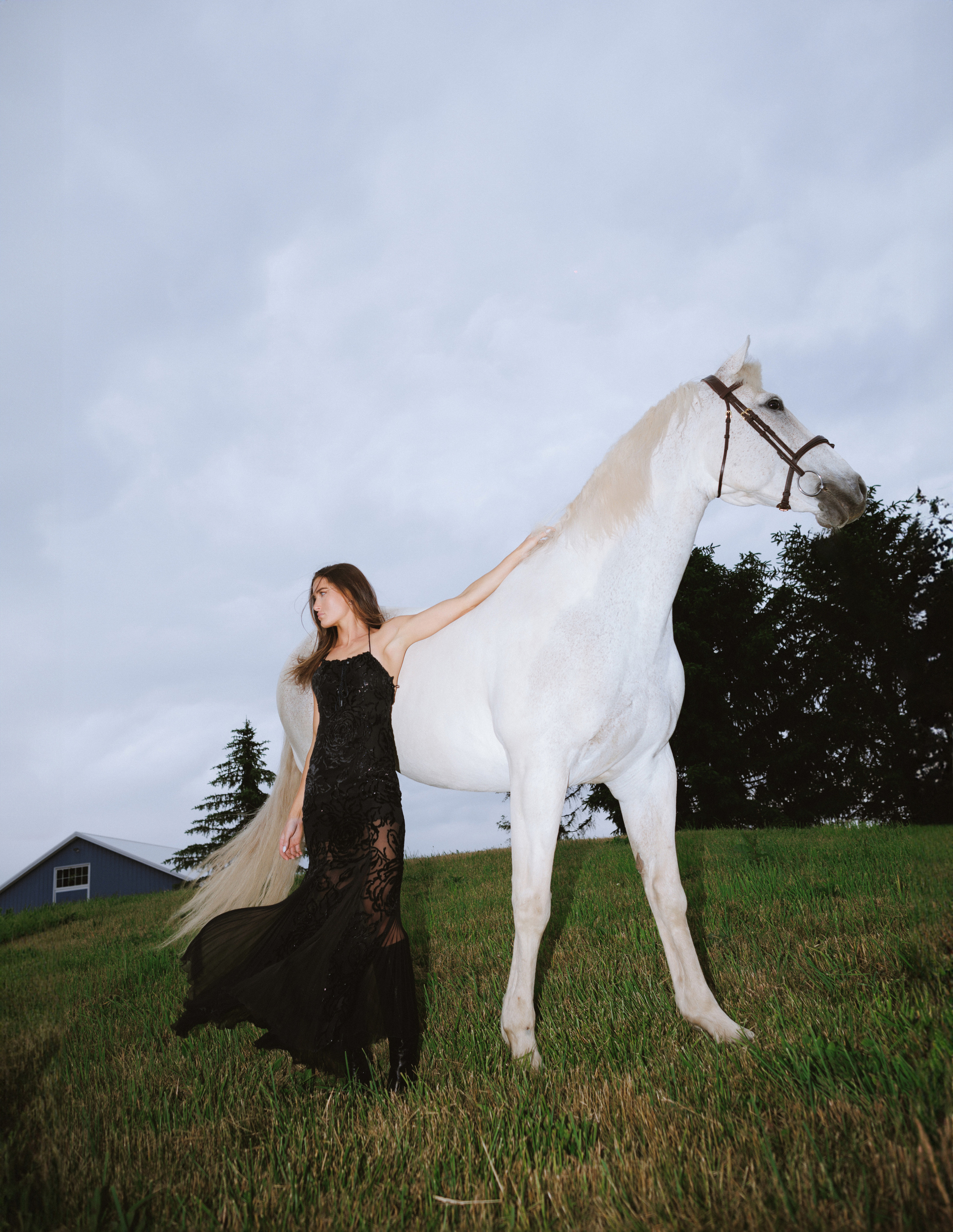 Portraits. Photographer in New York City