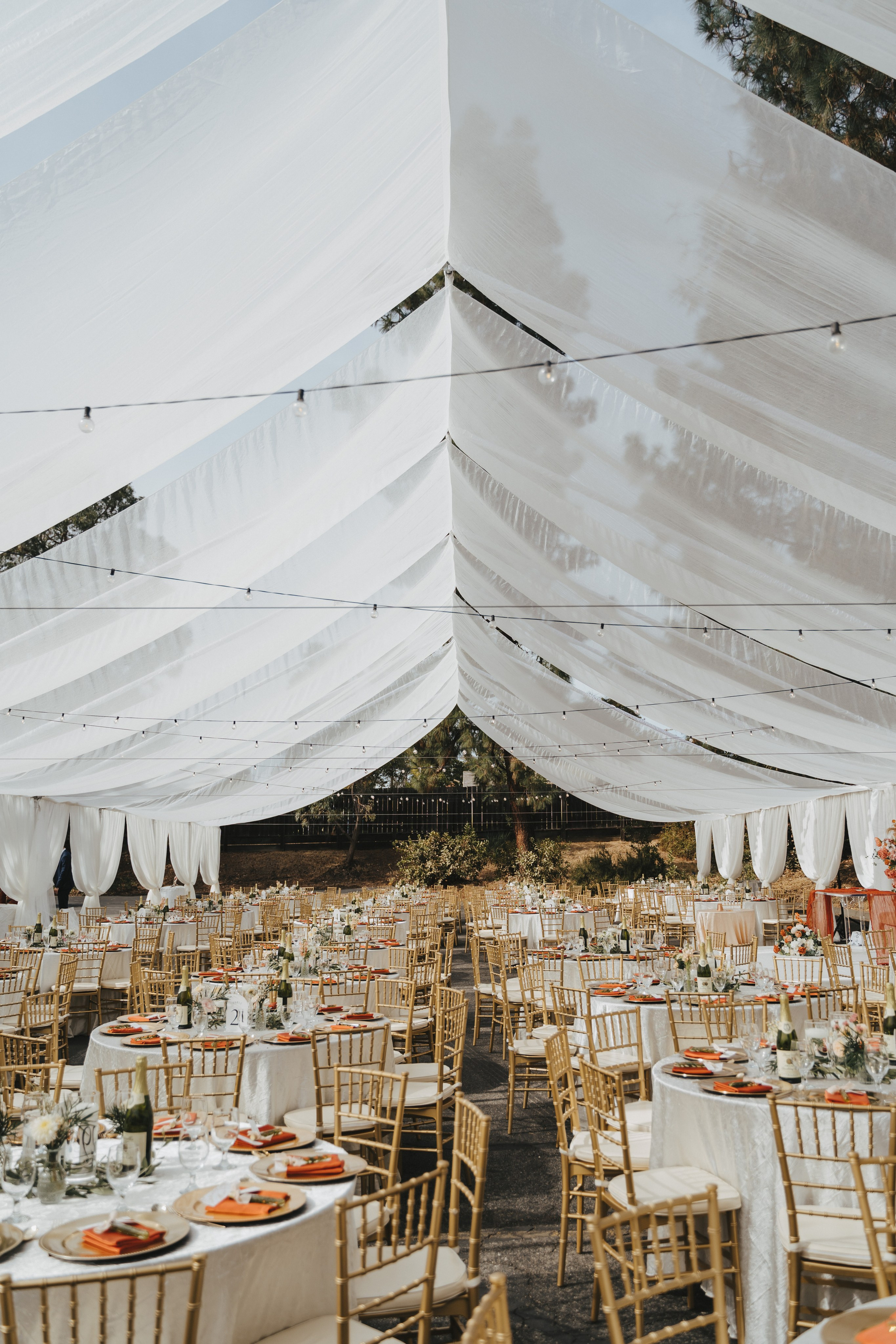 Christer & Philip 10.26.2024. Свадебный и семейный фотограф и видеограф в Калифорнии Сан-Франциско и Bay Area