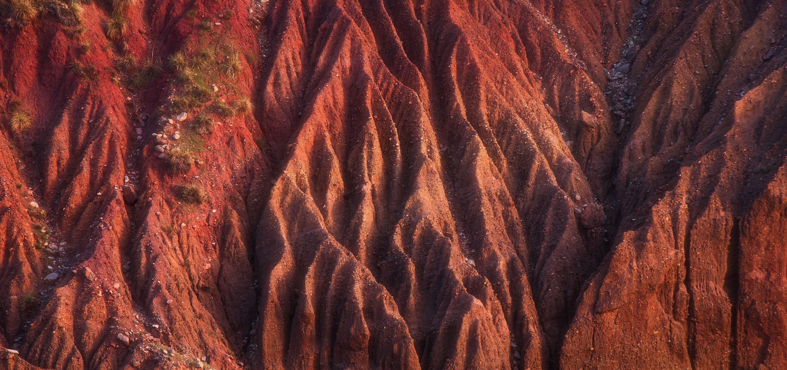 Abstract. Amirhamzeh Mashayekhi Photographer