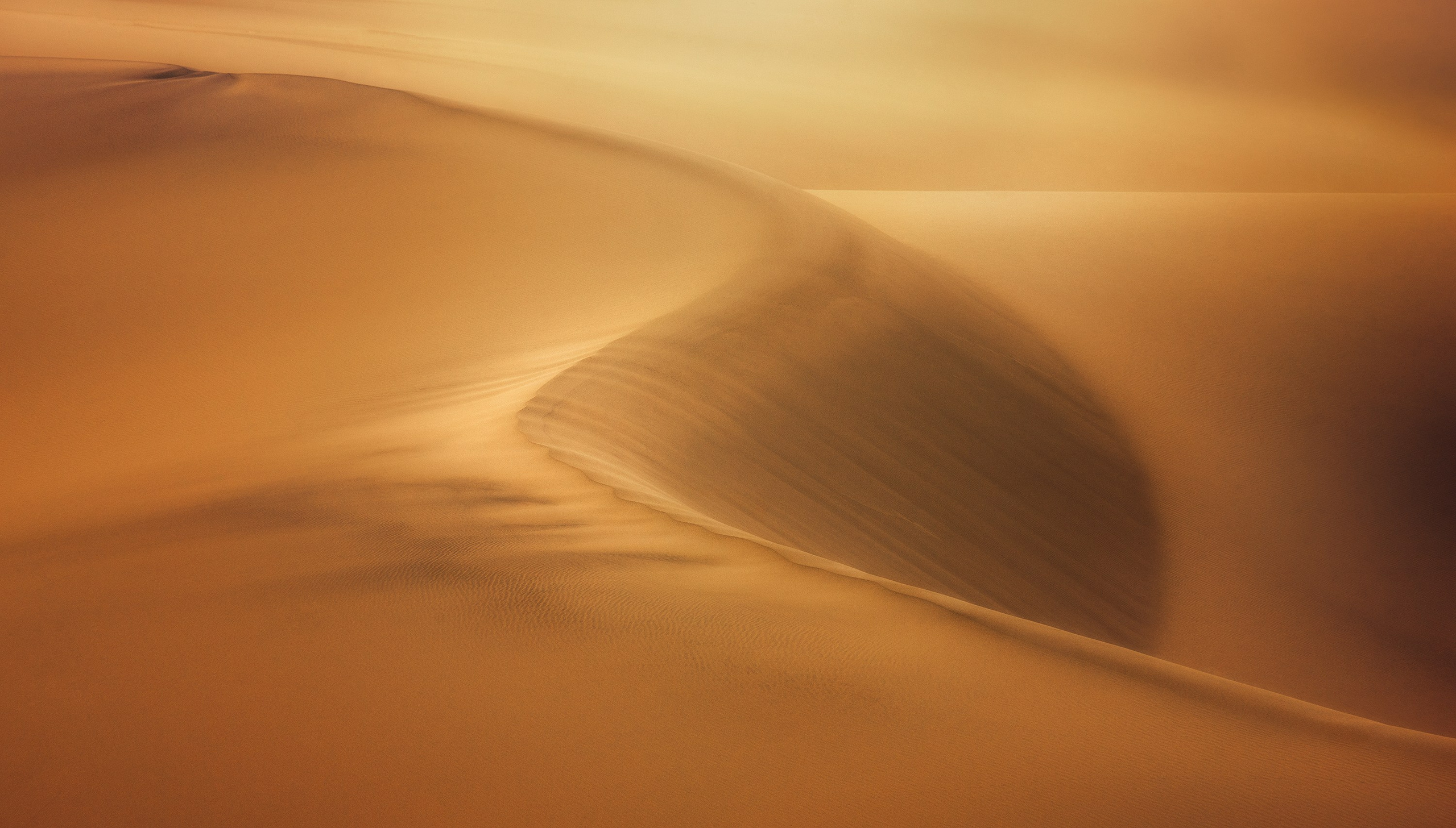 Desert. Amirhamzeh Mashayekhi Photographer