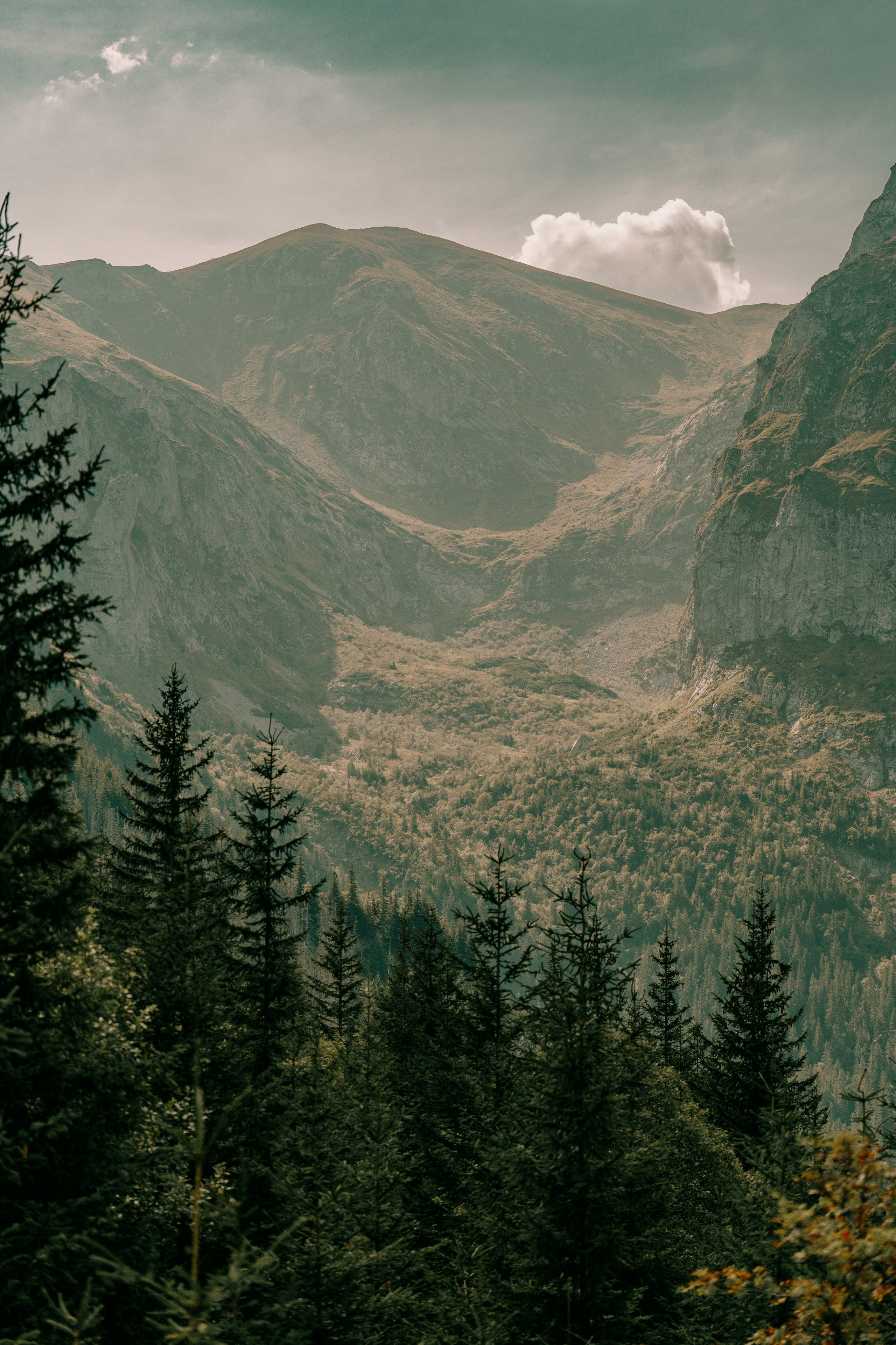 Landscape. Fotograf Poznan