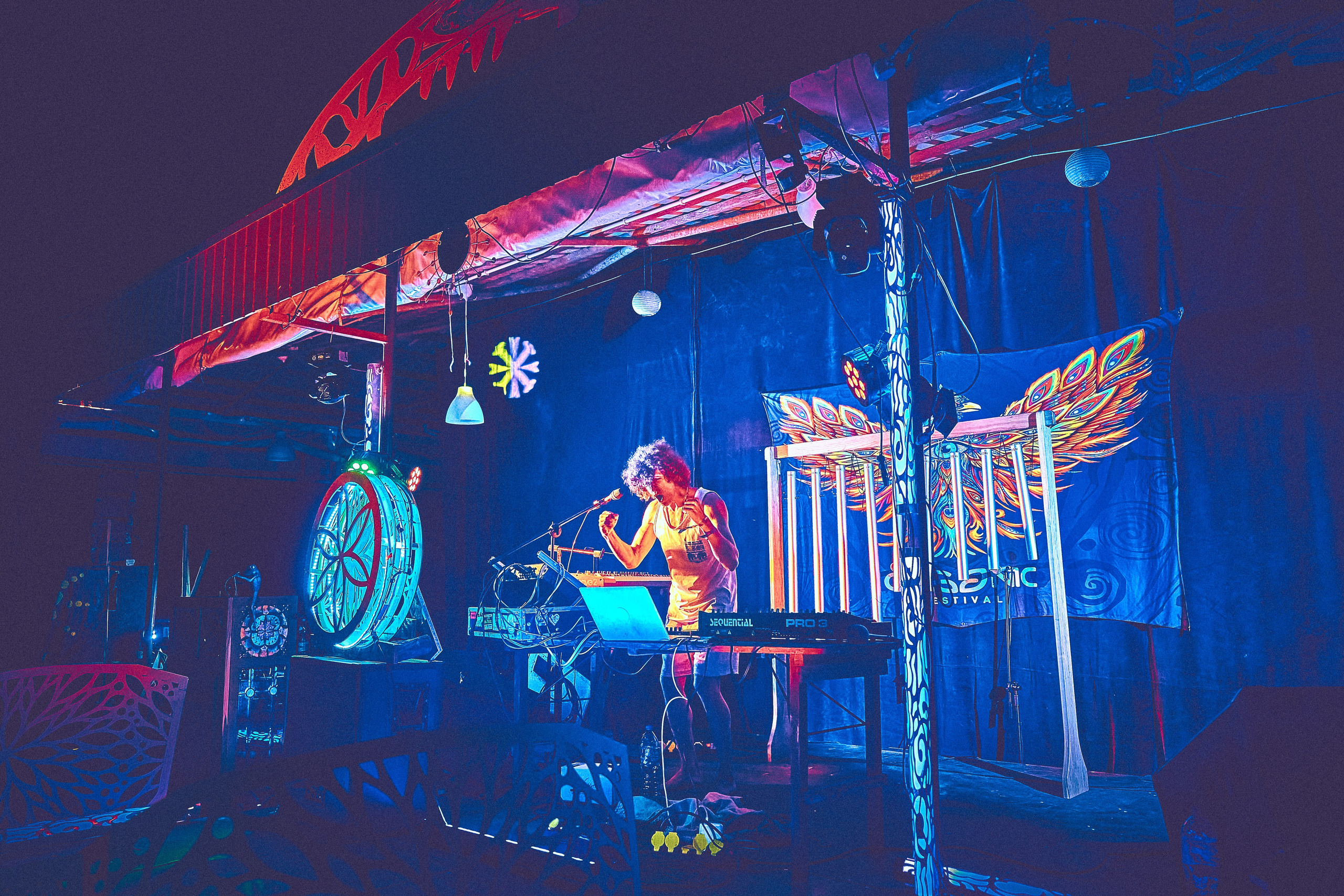 Organic-2025. Andriej Szypilow — Photography & Videography