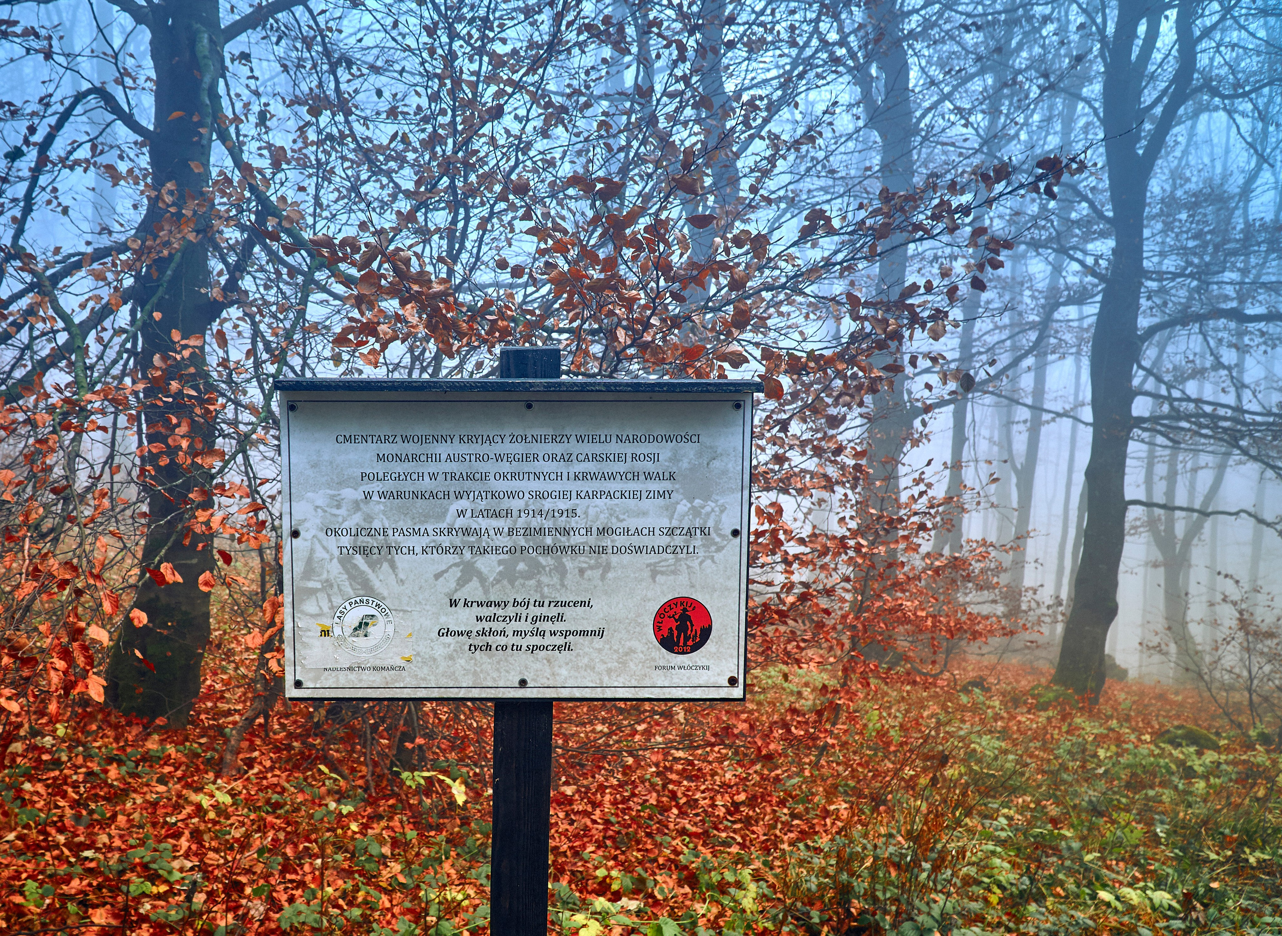 Бещады — здесь остановилось время. Андрей Шипилов — Фотография & Видеография