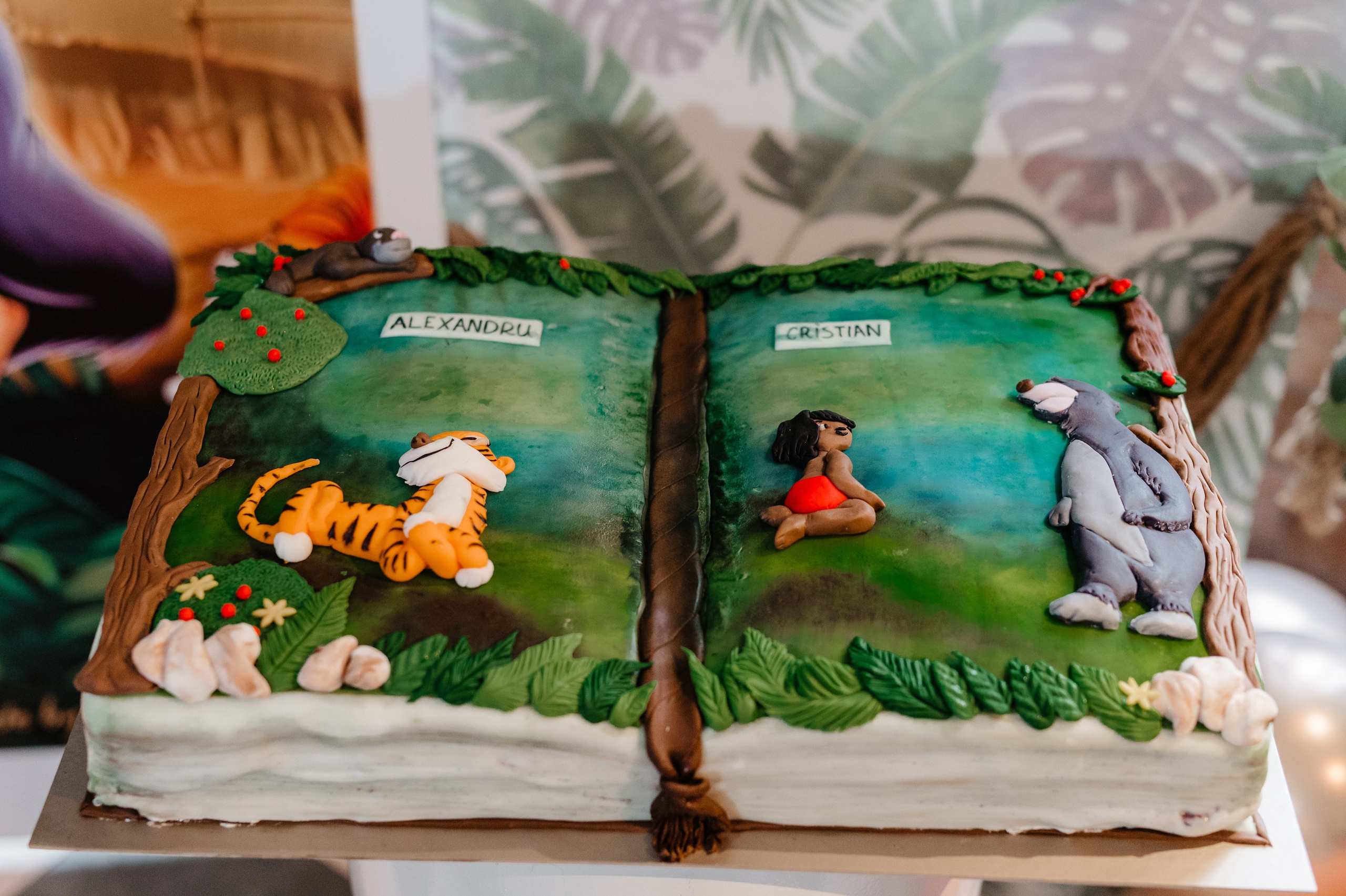 Alexandru Baptism. AdrianOltean.wfolio.pro