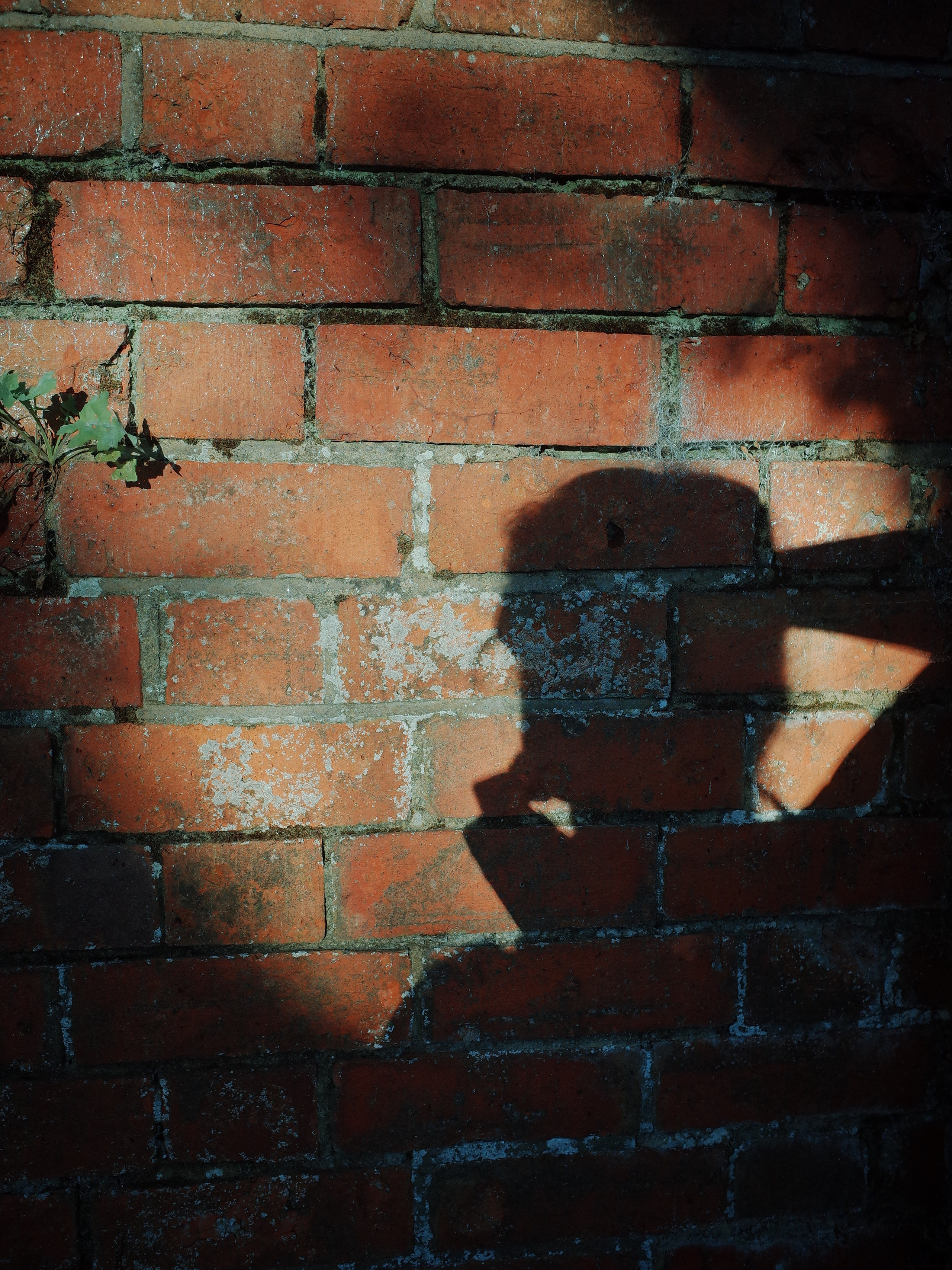 Angry walk of not belonging. Victoria Dini. Art photography in London / Folkestone, UK