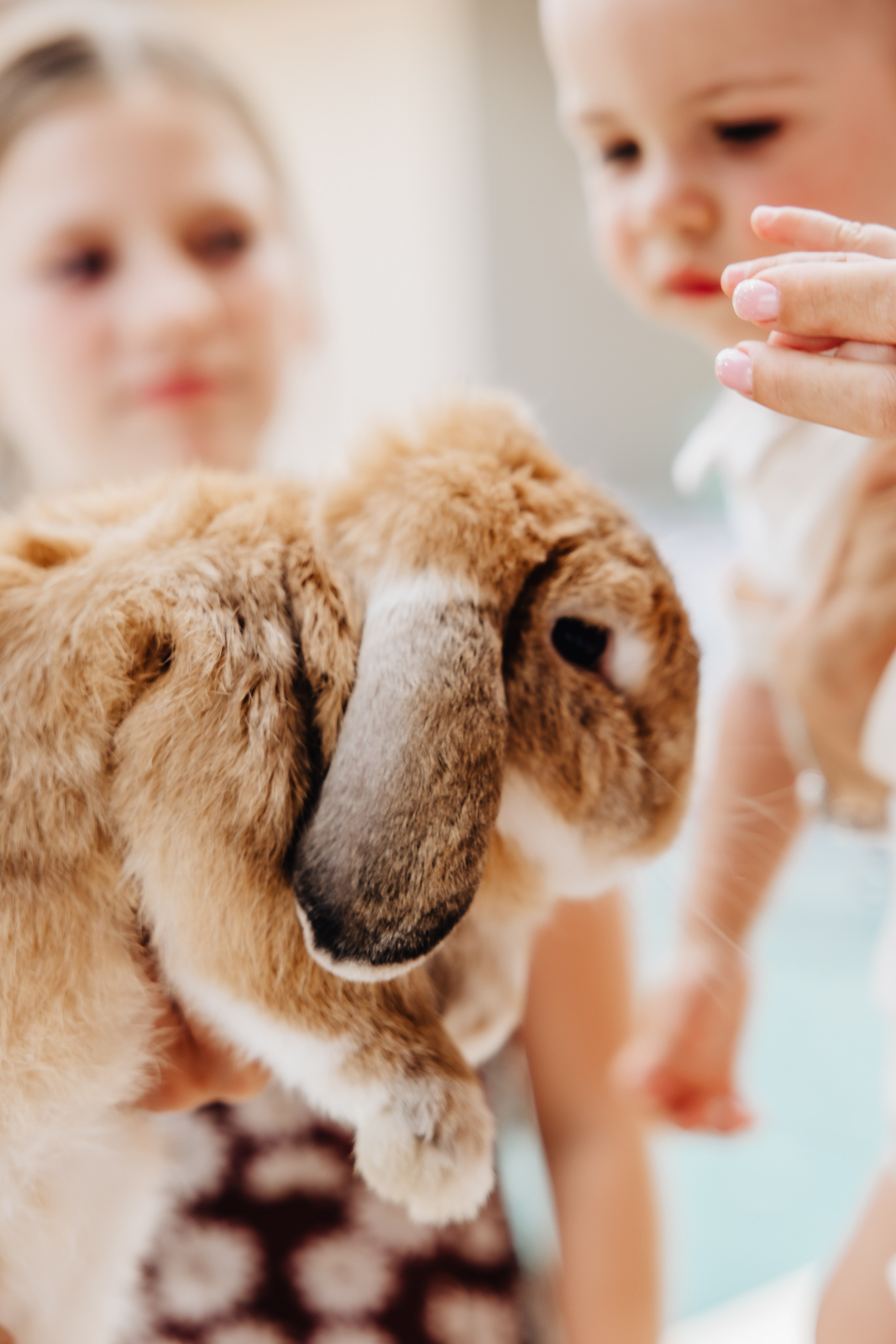 Kids Party. Alya Leto Photographer