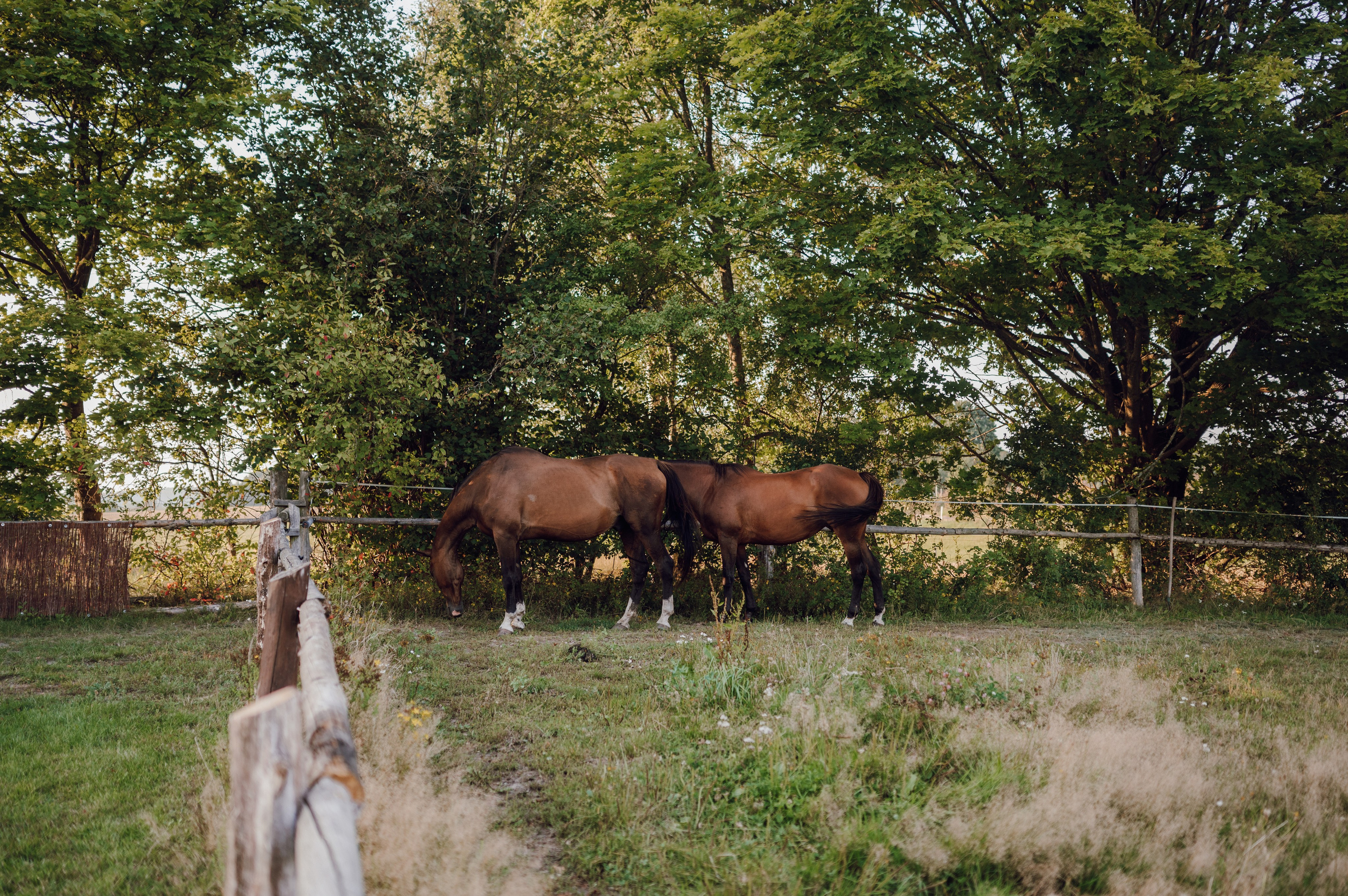 Reportaż Ślubny – Zuzia i Jasiek | Fotograf Ślubny Poznań. Ślubny fotograf Poznań | Oliwia Makara