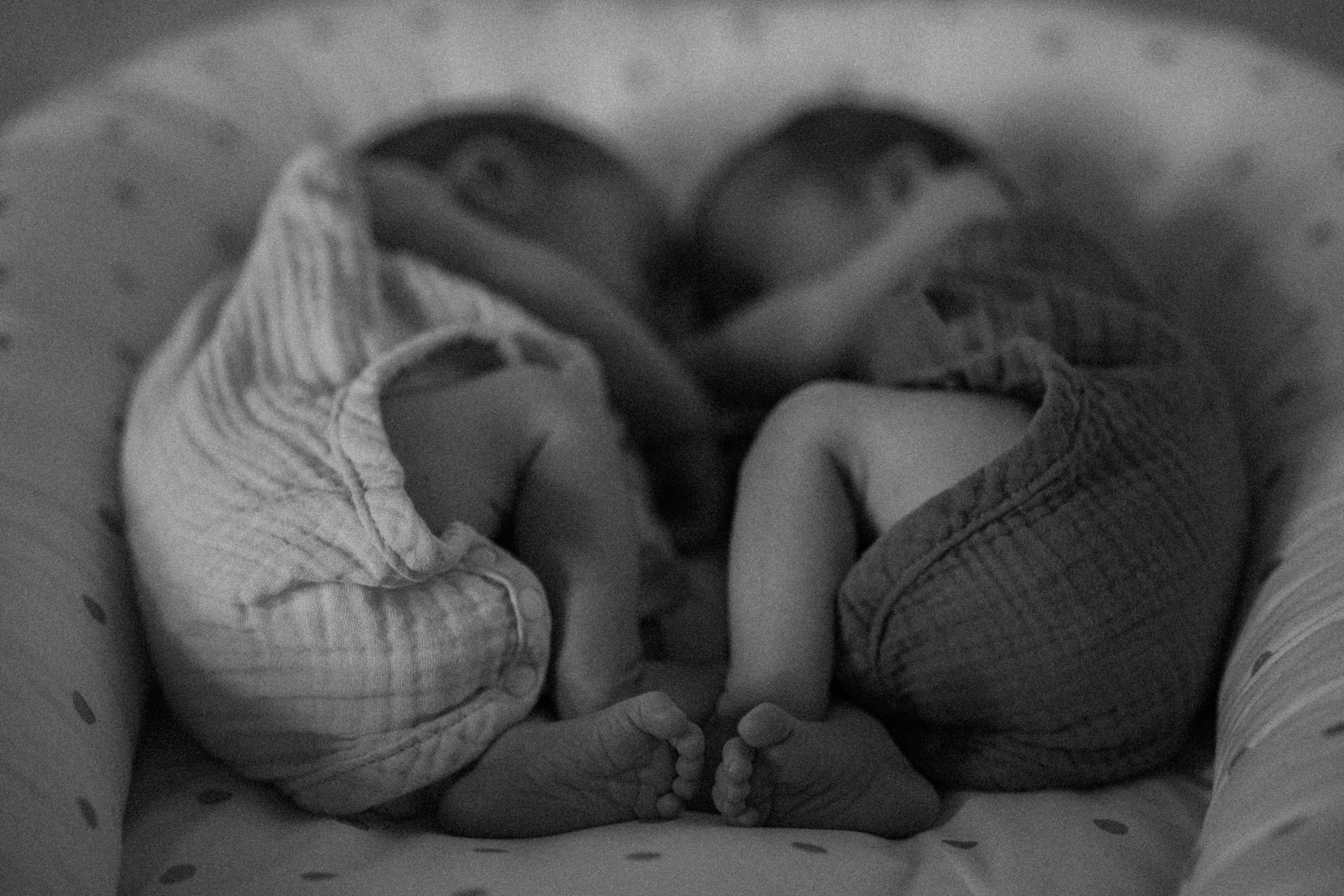 Newborn. Photographer Madeira