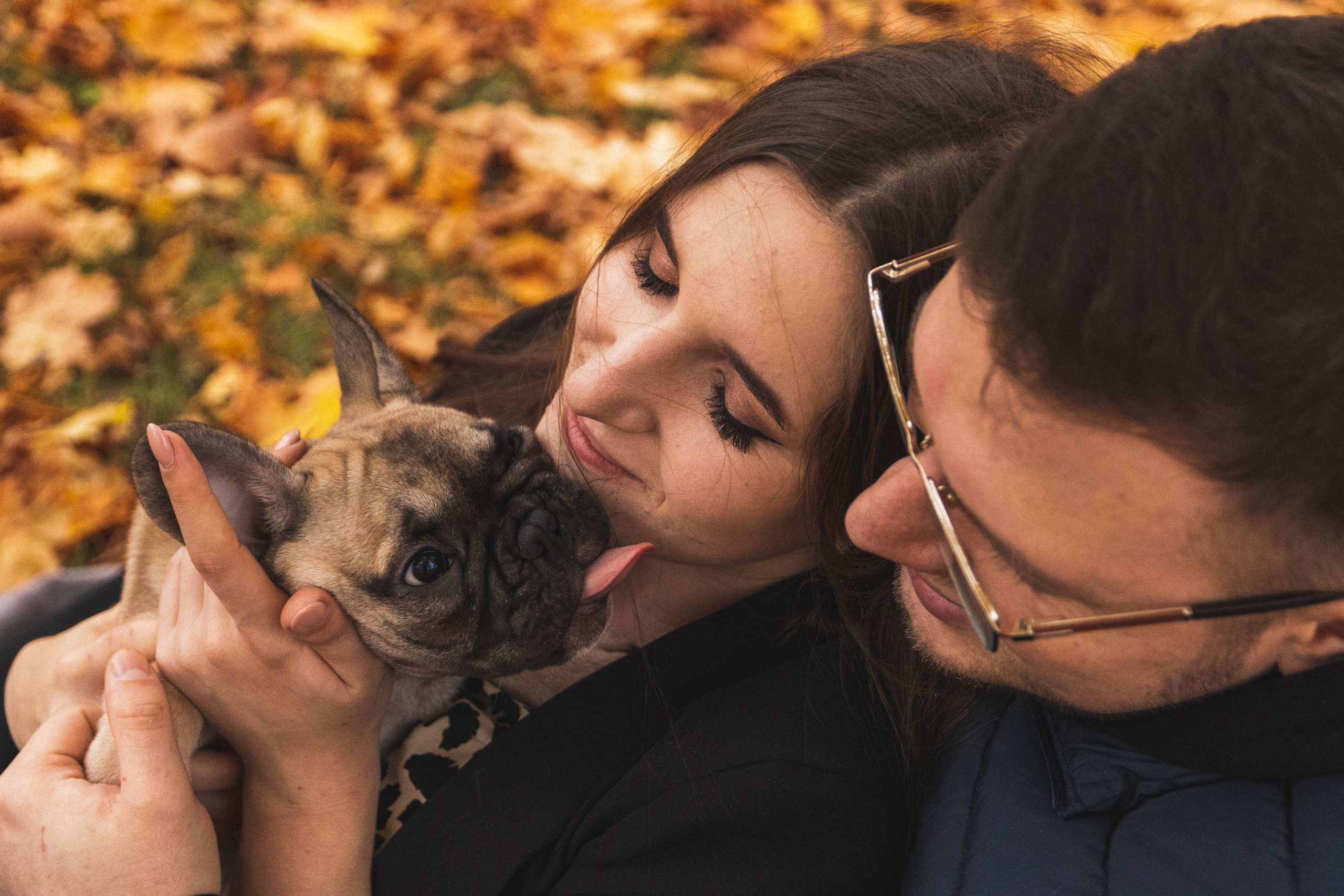 Kadriorg (Miša ja Daša). Nebula 25 — Fotod teie hingele