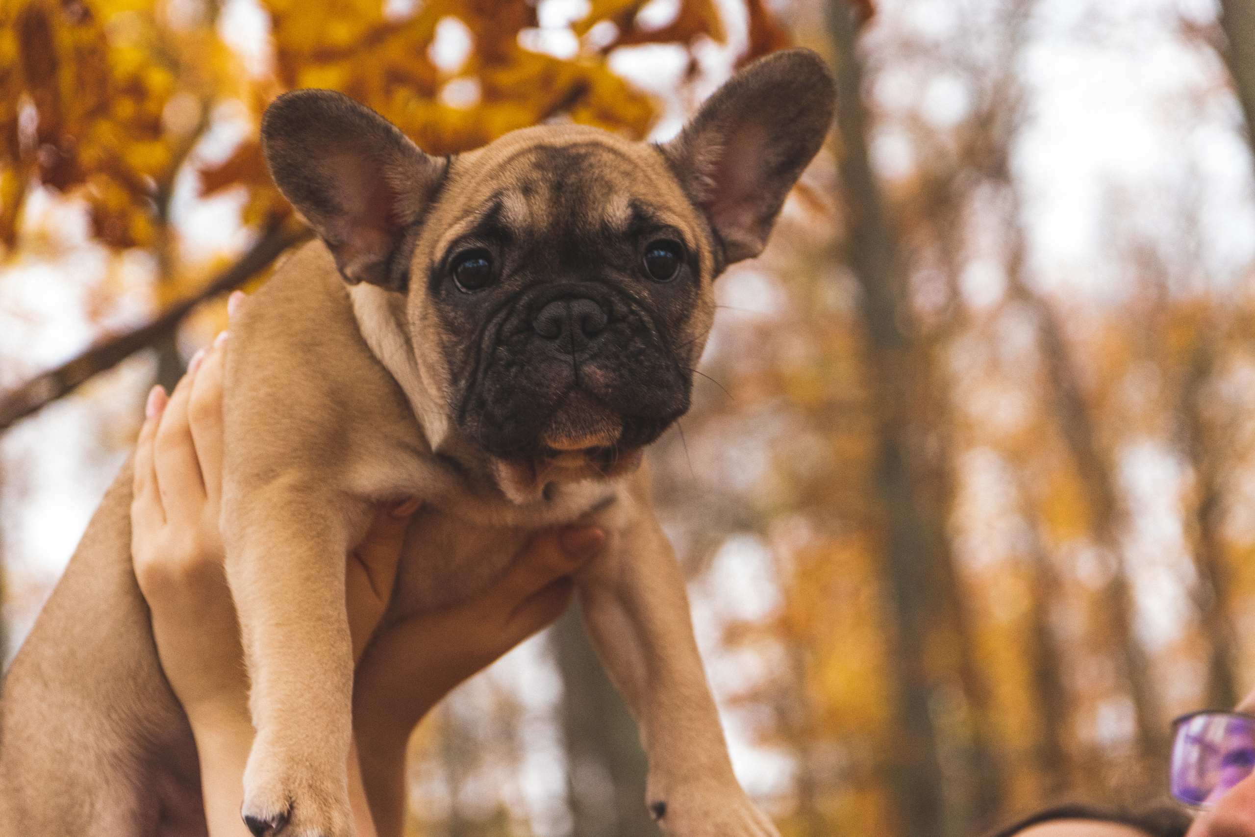 Kadriorg (Miša ja Daša). Nebula 25 — Fotod teie hingele
