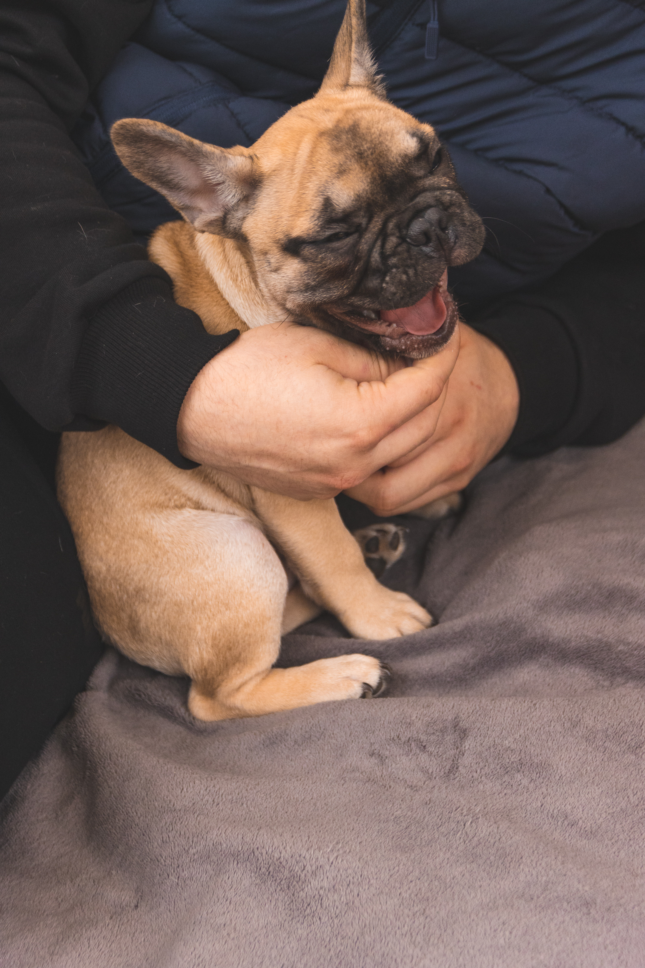 Kadriorg (Miša ja Daša). Nebula 25 — Fotod teie hingele