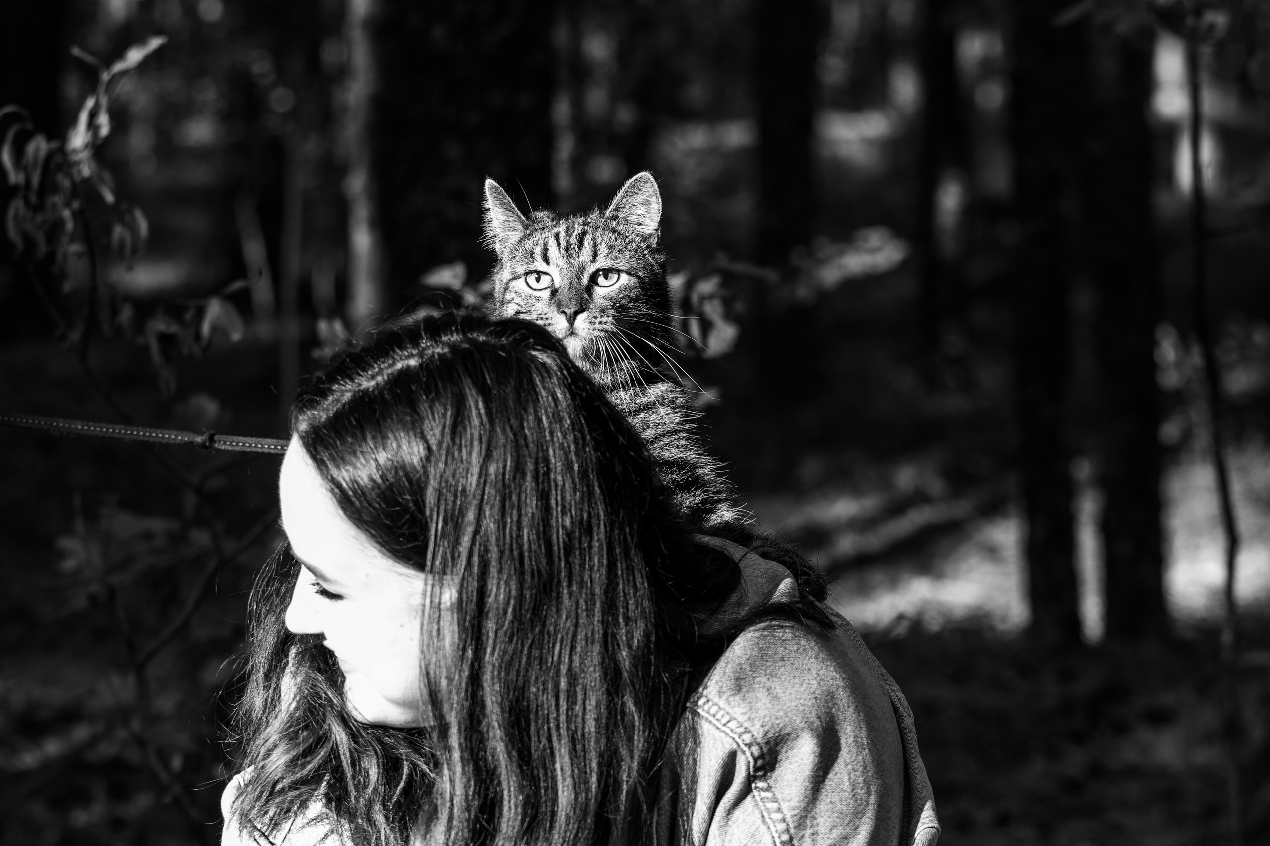 Suitsudeemon ja tema kass (Saša). Nebula 25 — Fotod teie hingele