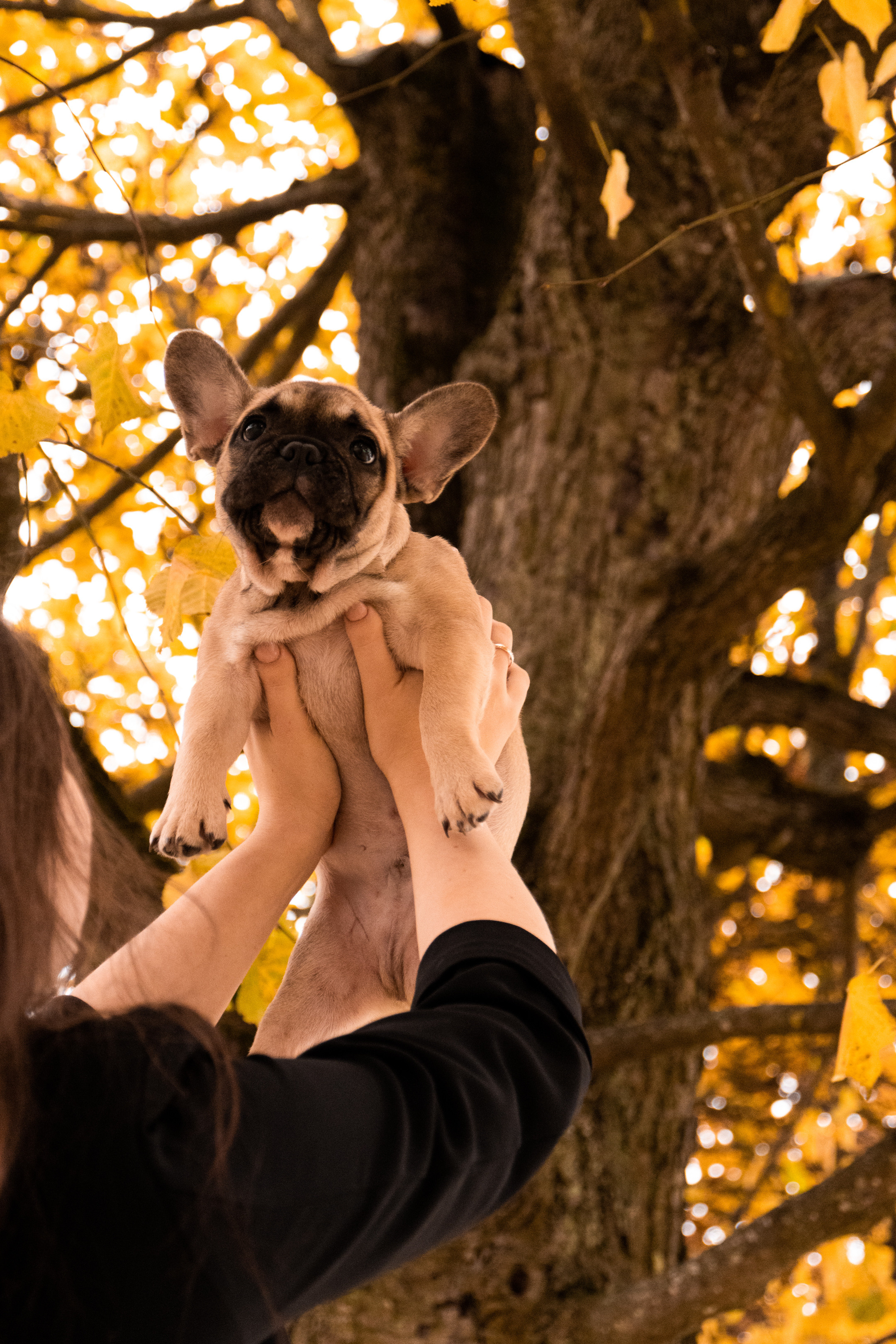 Kadriorg (Miša ja Daša). Nebula 25 — Fotod teie hingele