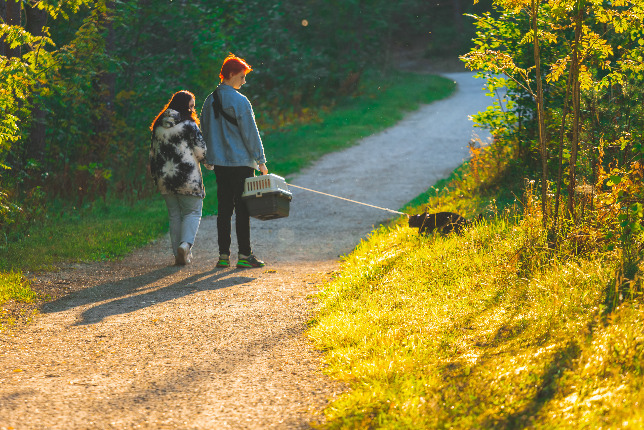 Suitsudeemon ja tema kass (Saša). Nebula 25 — Fotod teie hingele