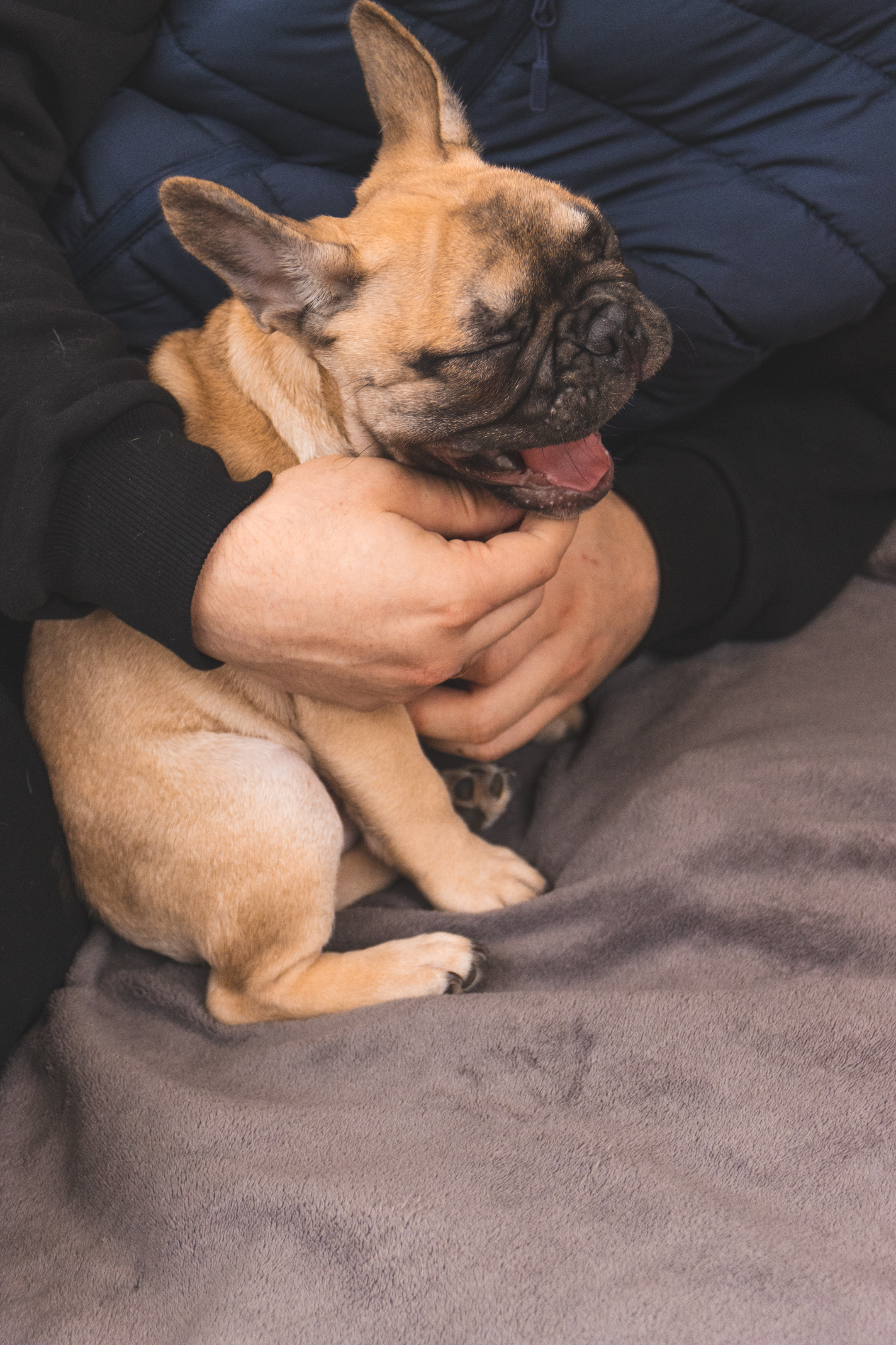 Kadriorg (Miša ja Daša). Nebula 25 — Fotod teie hingele