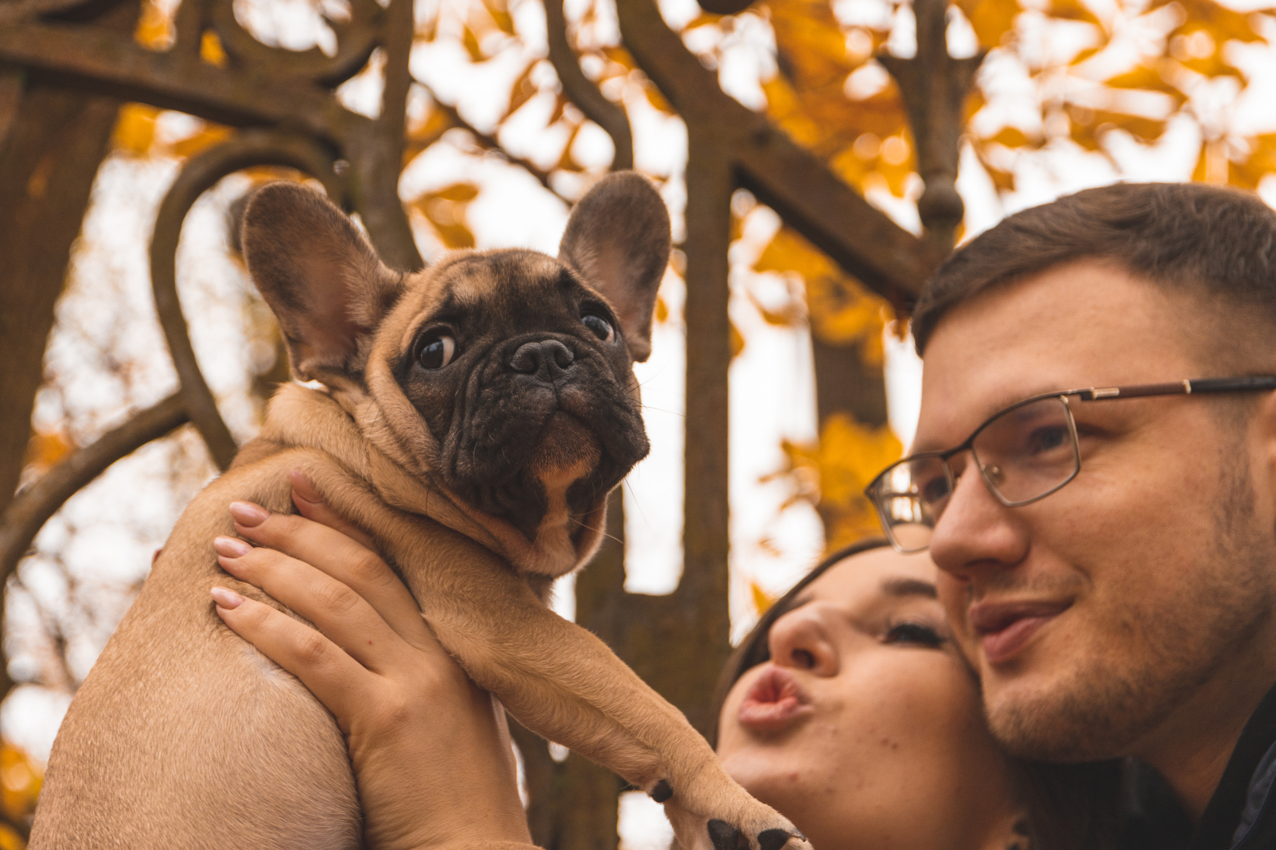 Kadriorg (Miša ja Daša). Nebula 25 — Fotod teie hingele