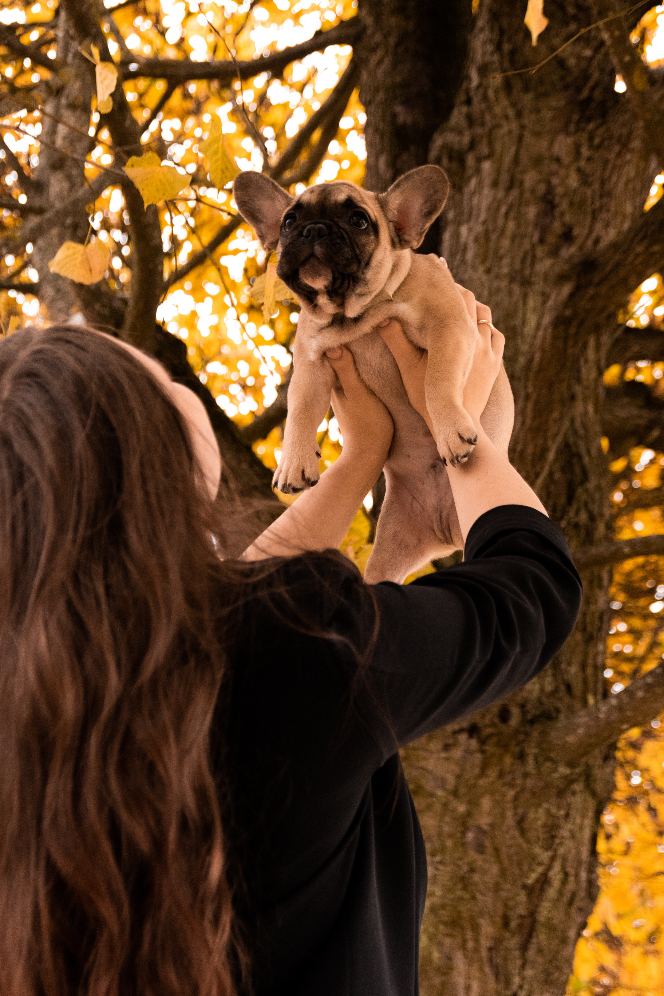 Kadriorg (Miša ja Daša). Nebula 25 — Fotod teie hingele