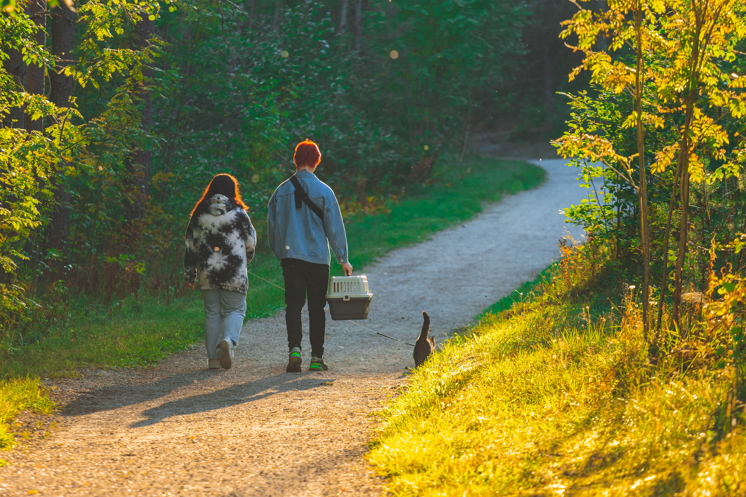 Suitsudeemon ja tema kass (Saša). Nebula 25 — Fotod teie hingele
