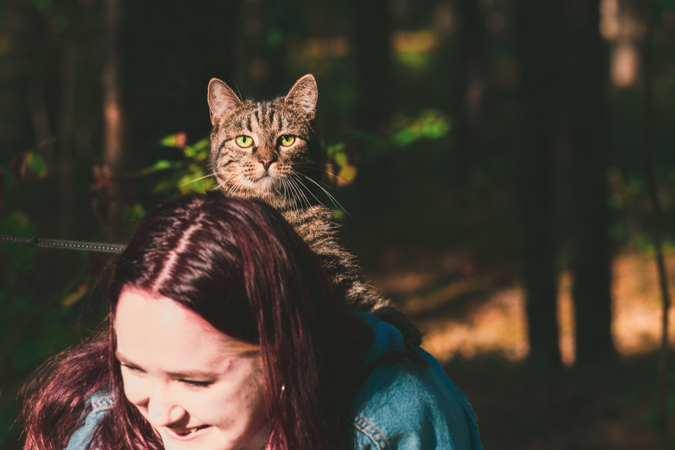 Suitsudeemon ja tema kass (Saša). Nebula 25 — Fotod teie hingele