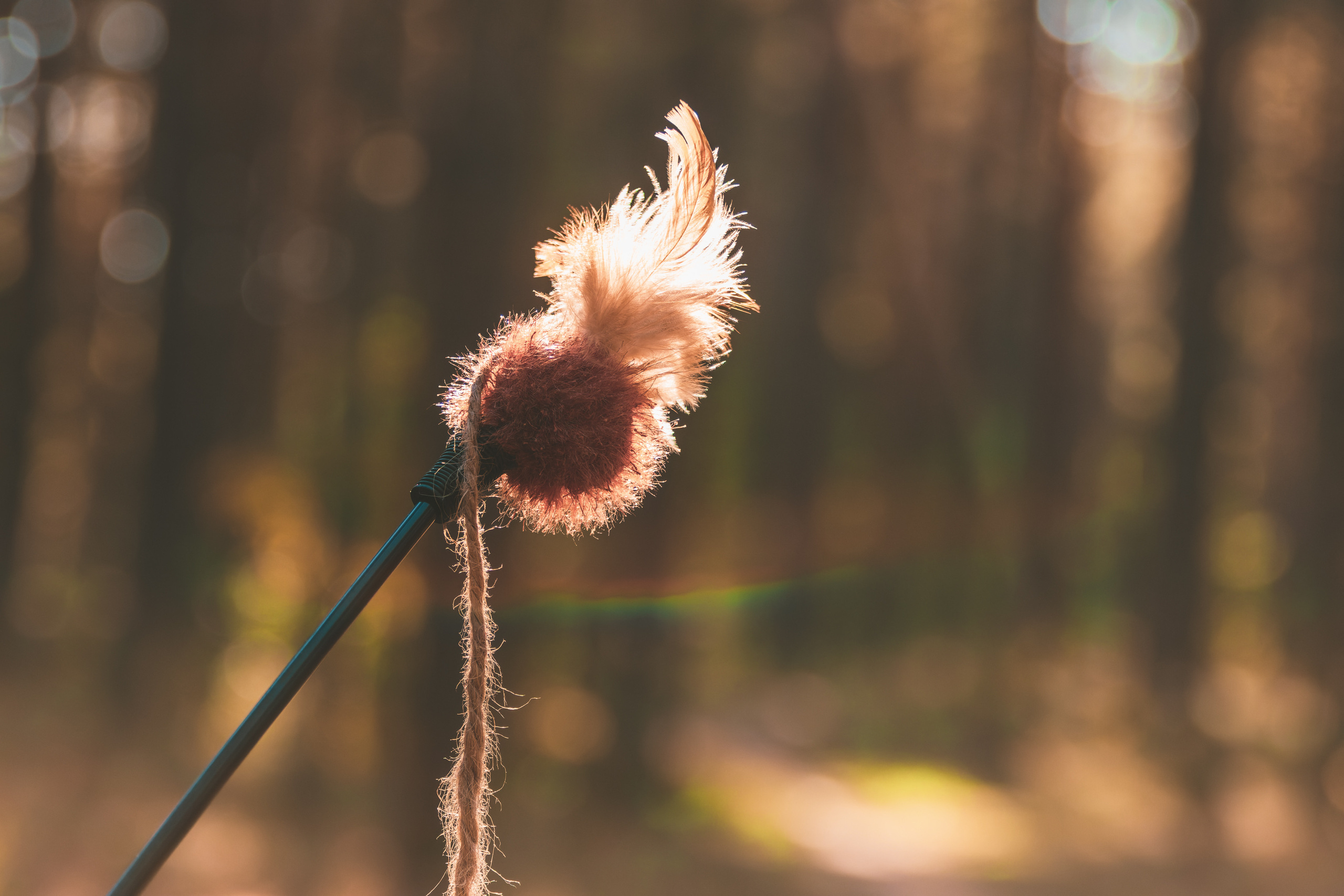 Suitsudeemon ja tema kass (Saša). Nebula 25 — Fotod teie hingele