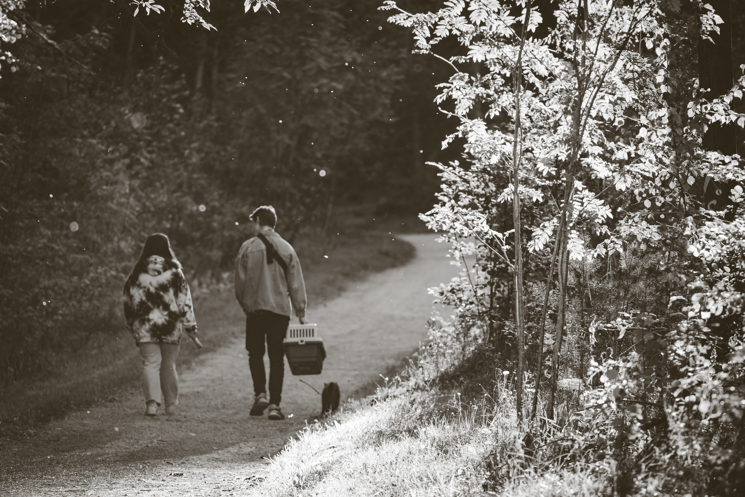 Suitsudeemon ja tema kass (Saša). Nebula 25 — Fotod teie hingele