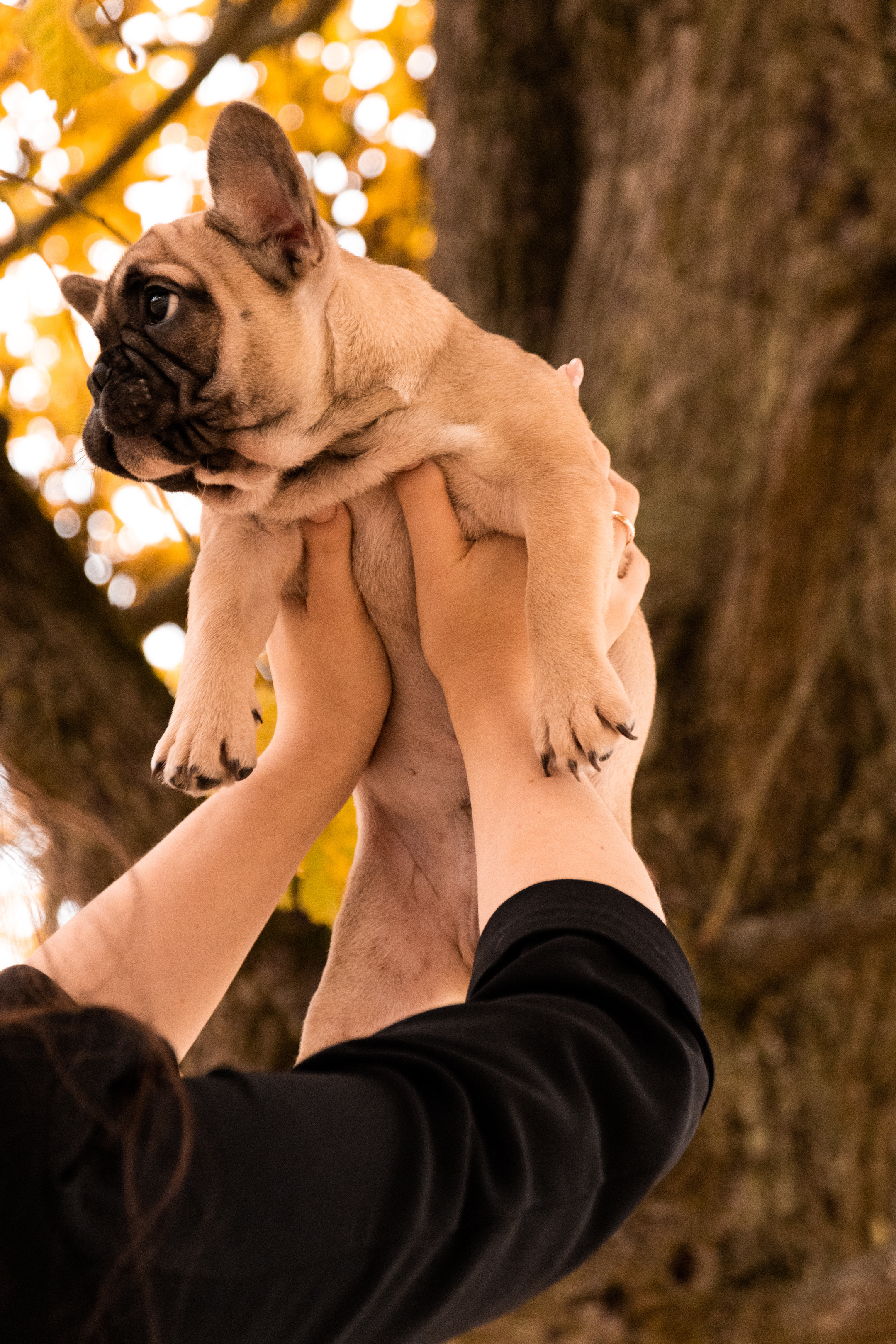 Kadriorg (Miša ja Daša). Nebula 25 — Fotod teie hingele