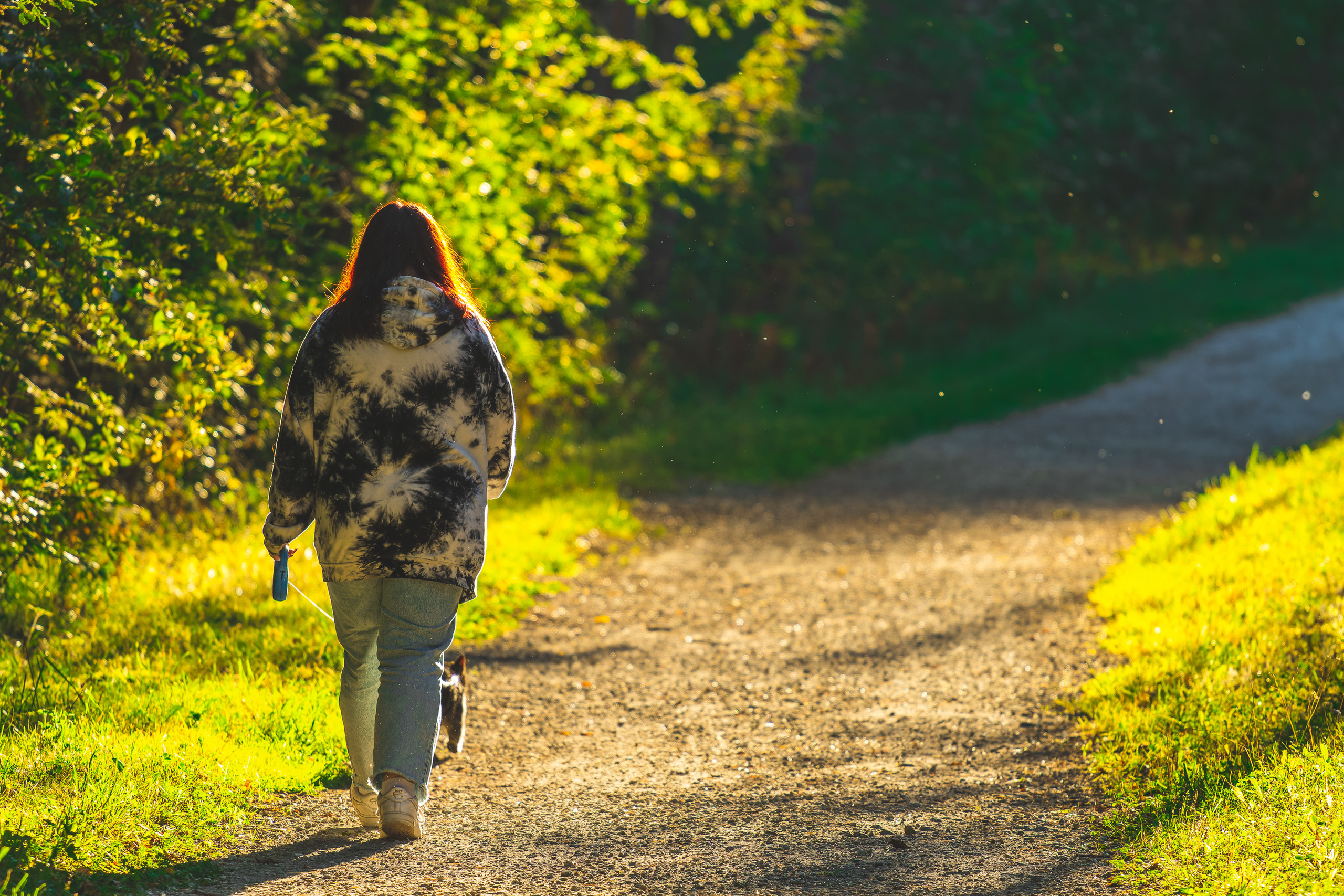 Suitsudeemon ja tema kass (Saša). Nebula 25 — Fotod teie hingele