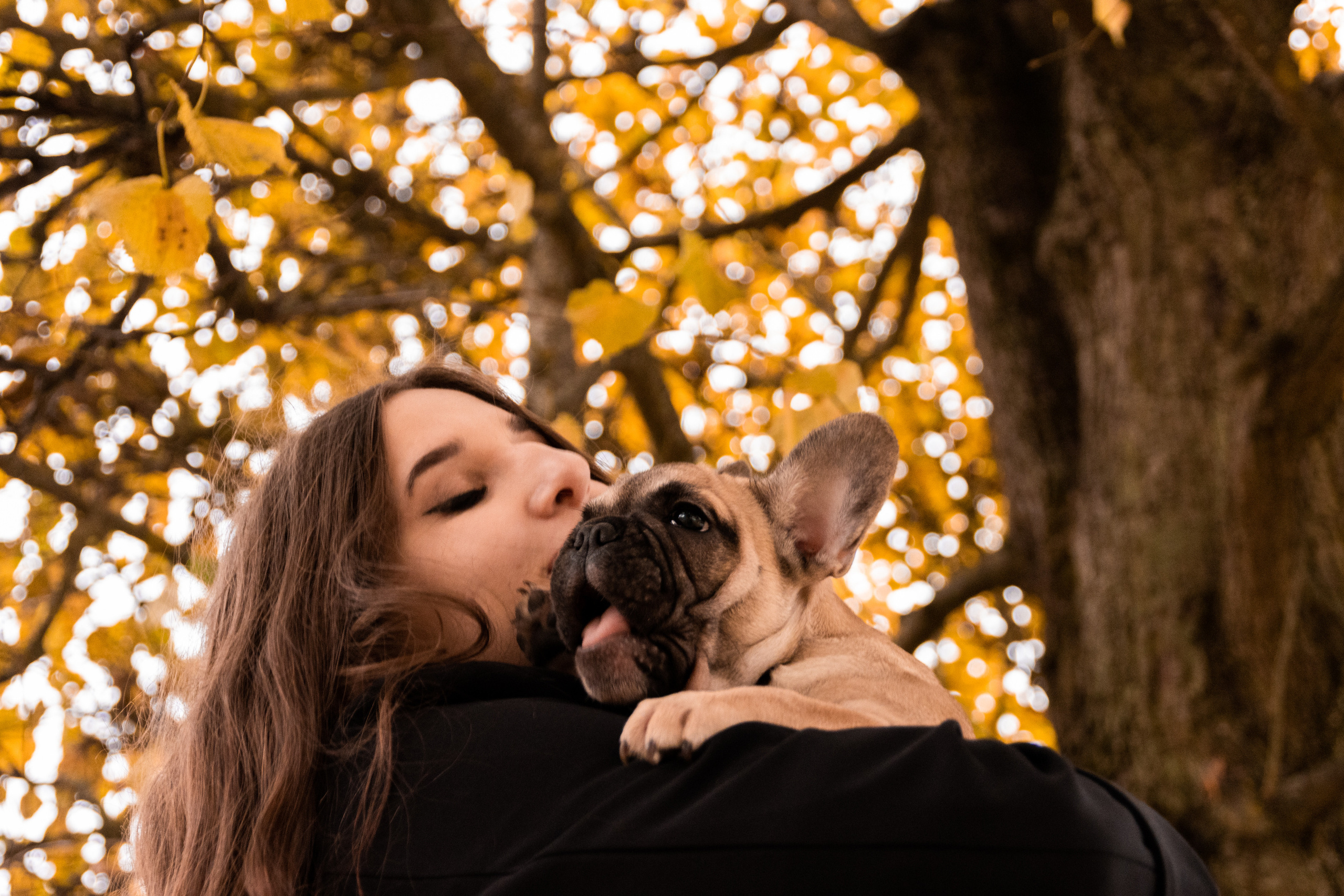 Kadriorg (Miša ja Daša). Nebula 25 — Fotod teie hingele