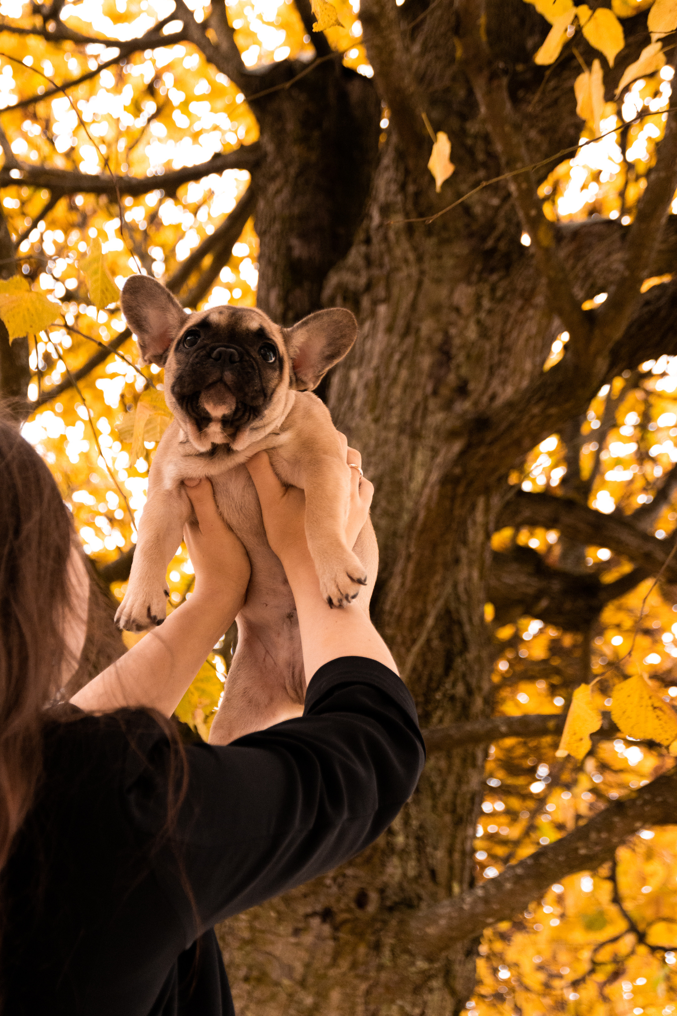 Kadriorg (Miša ja Daša). Nebula 25 — Fotod teie hingele