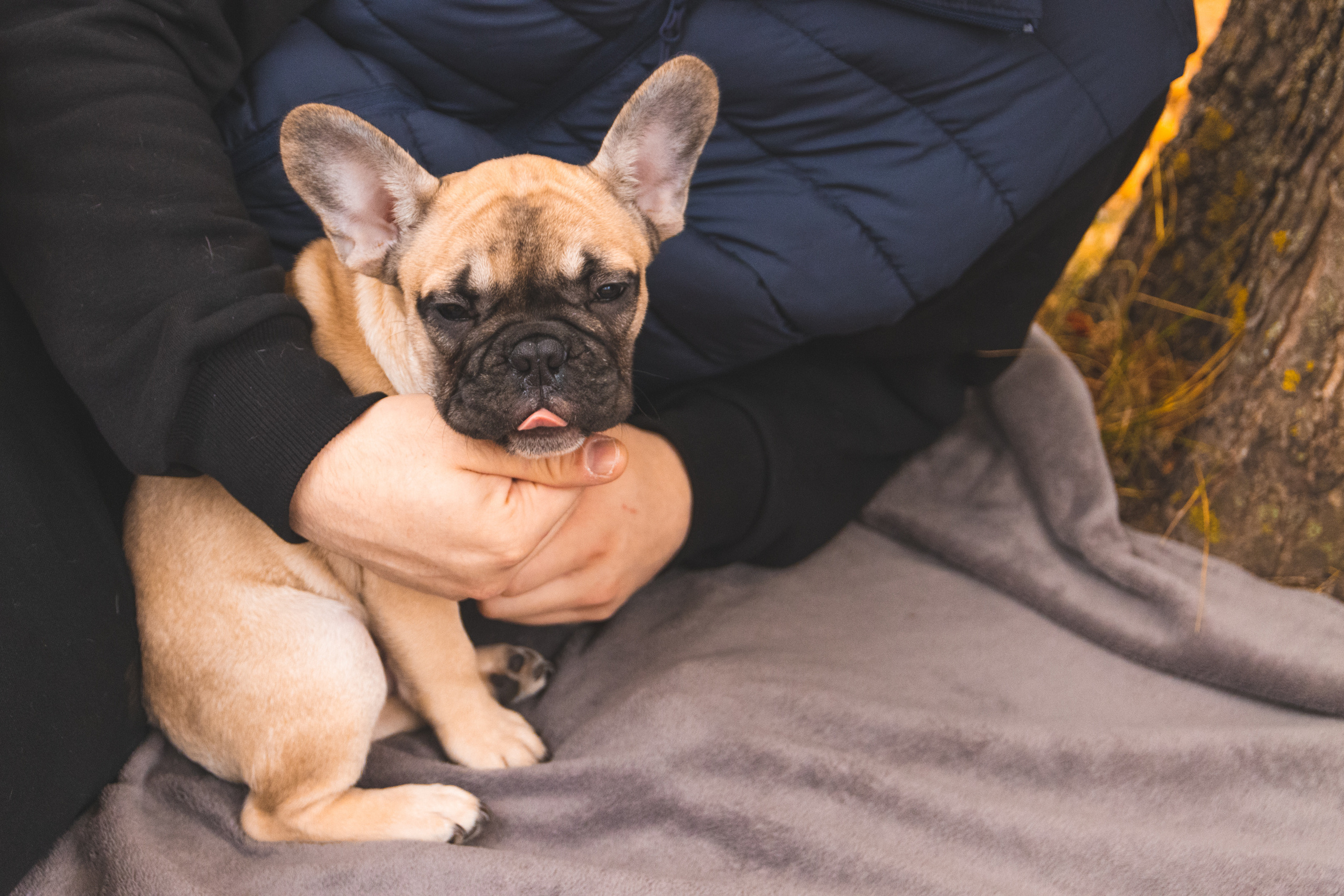 Kadriorg (Miša ja Daša). Nebula 25 — Fotod teie hingele