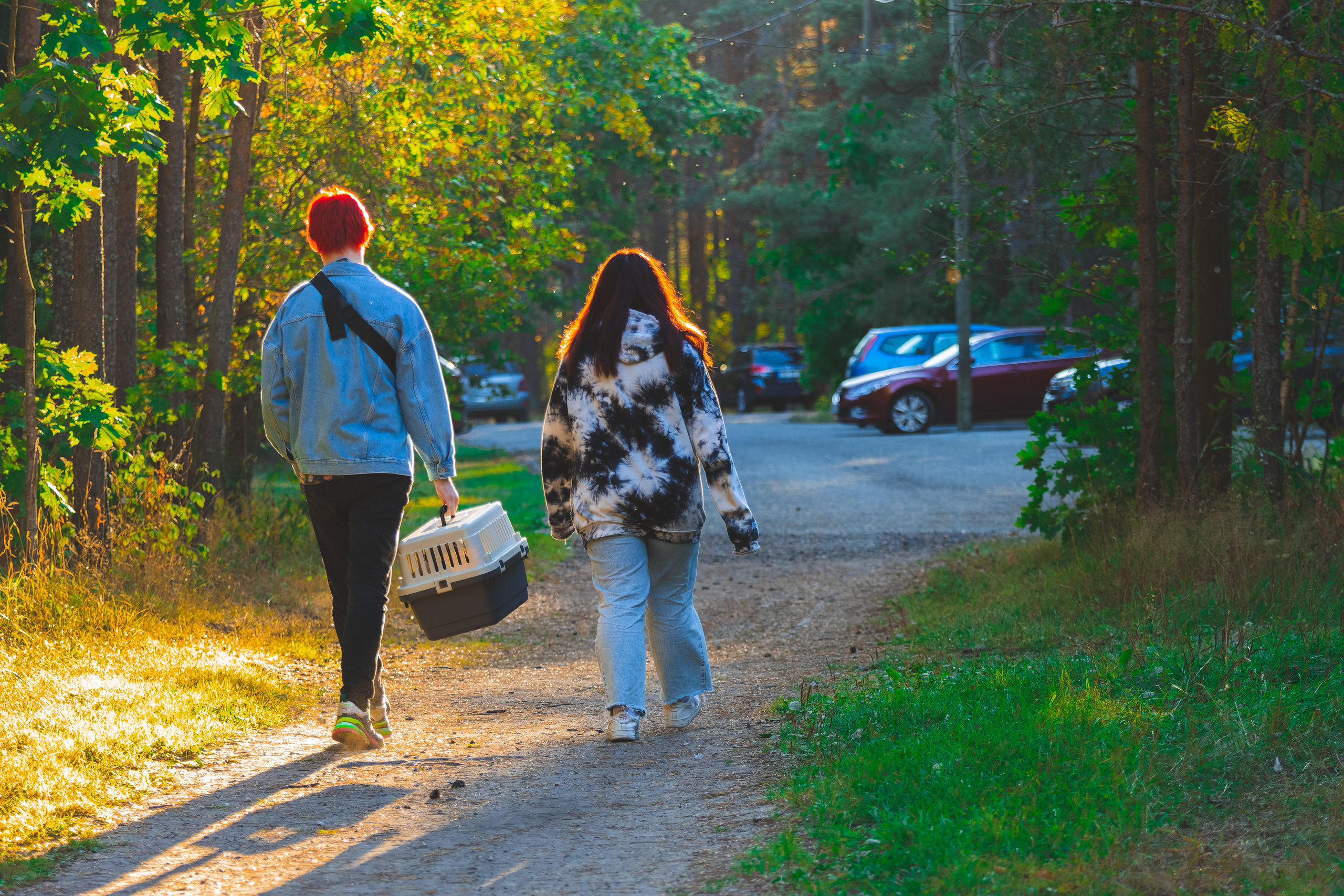 Suitsudeemon ja tema kass (Saša). Nebula 25 — Fotod teie hingele