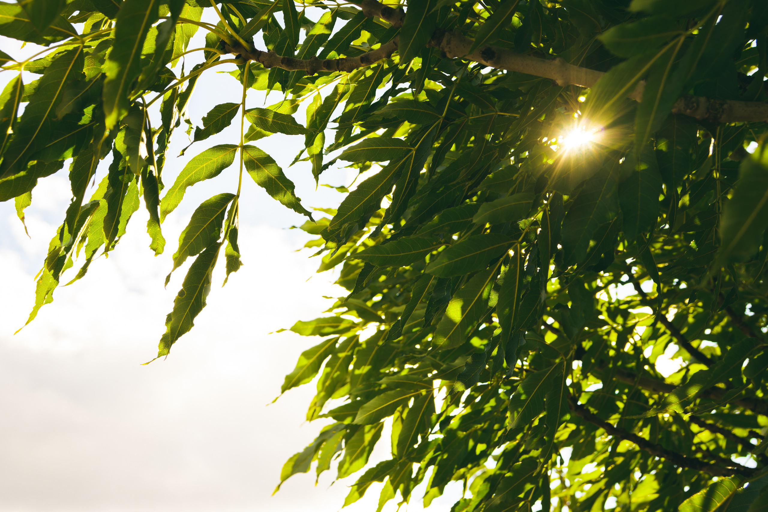 Sügise killud. Nebula 25 — Fotod teie hingele